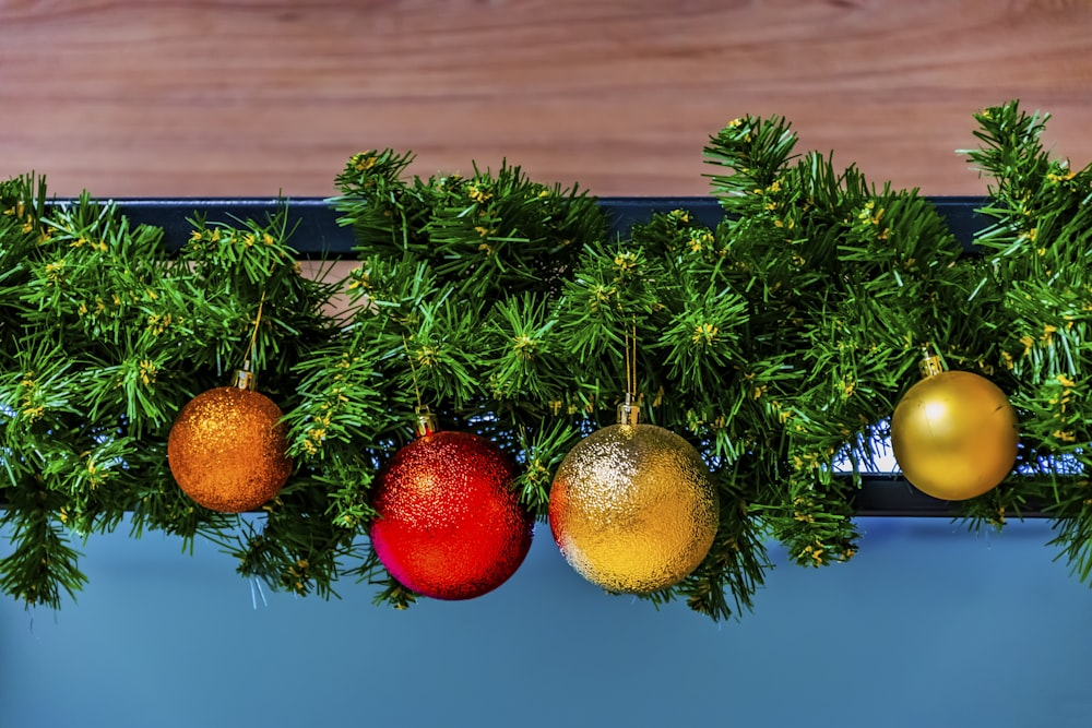 a group of fruits on a tree