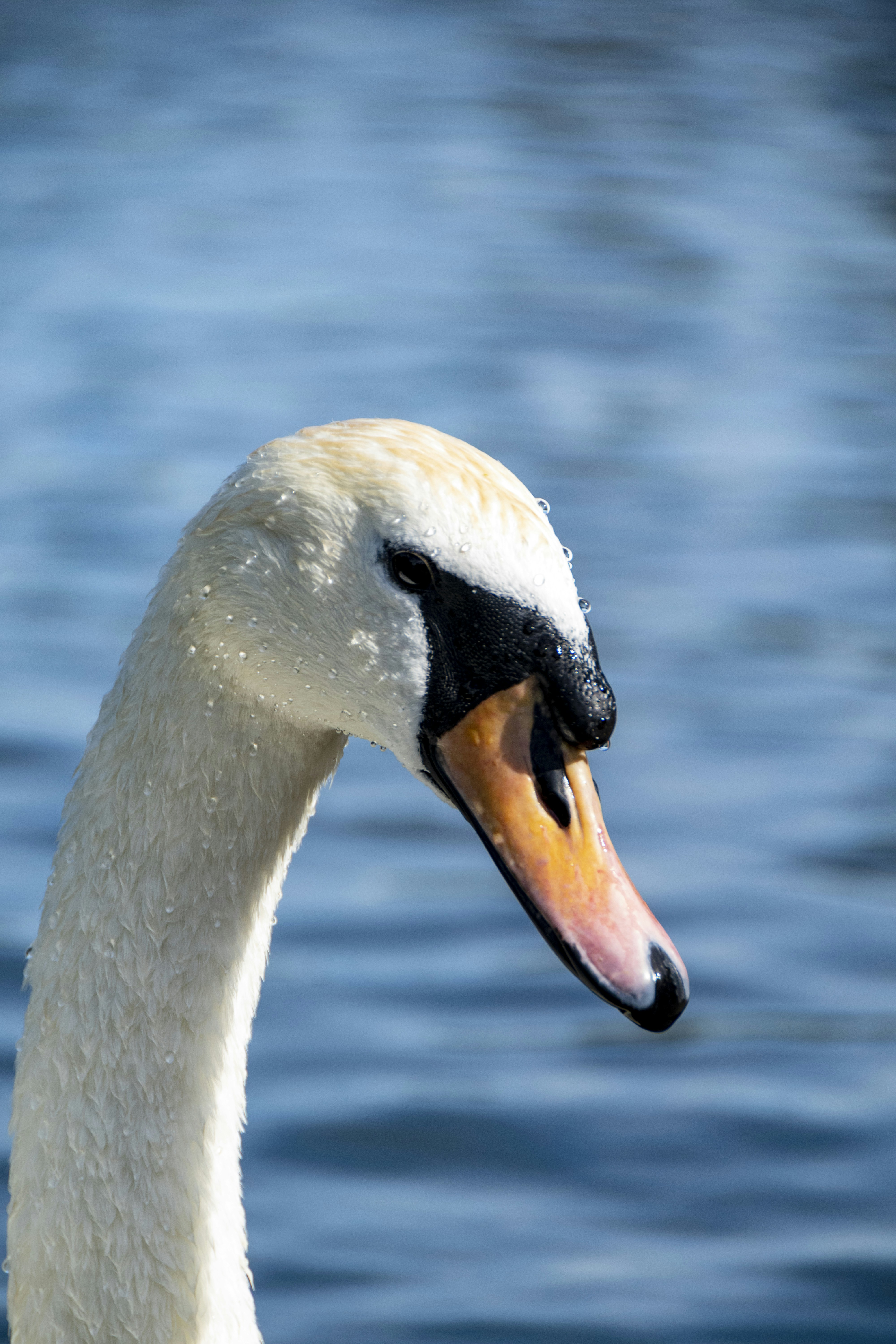 Photo by zubair_works