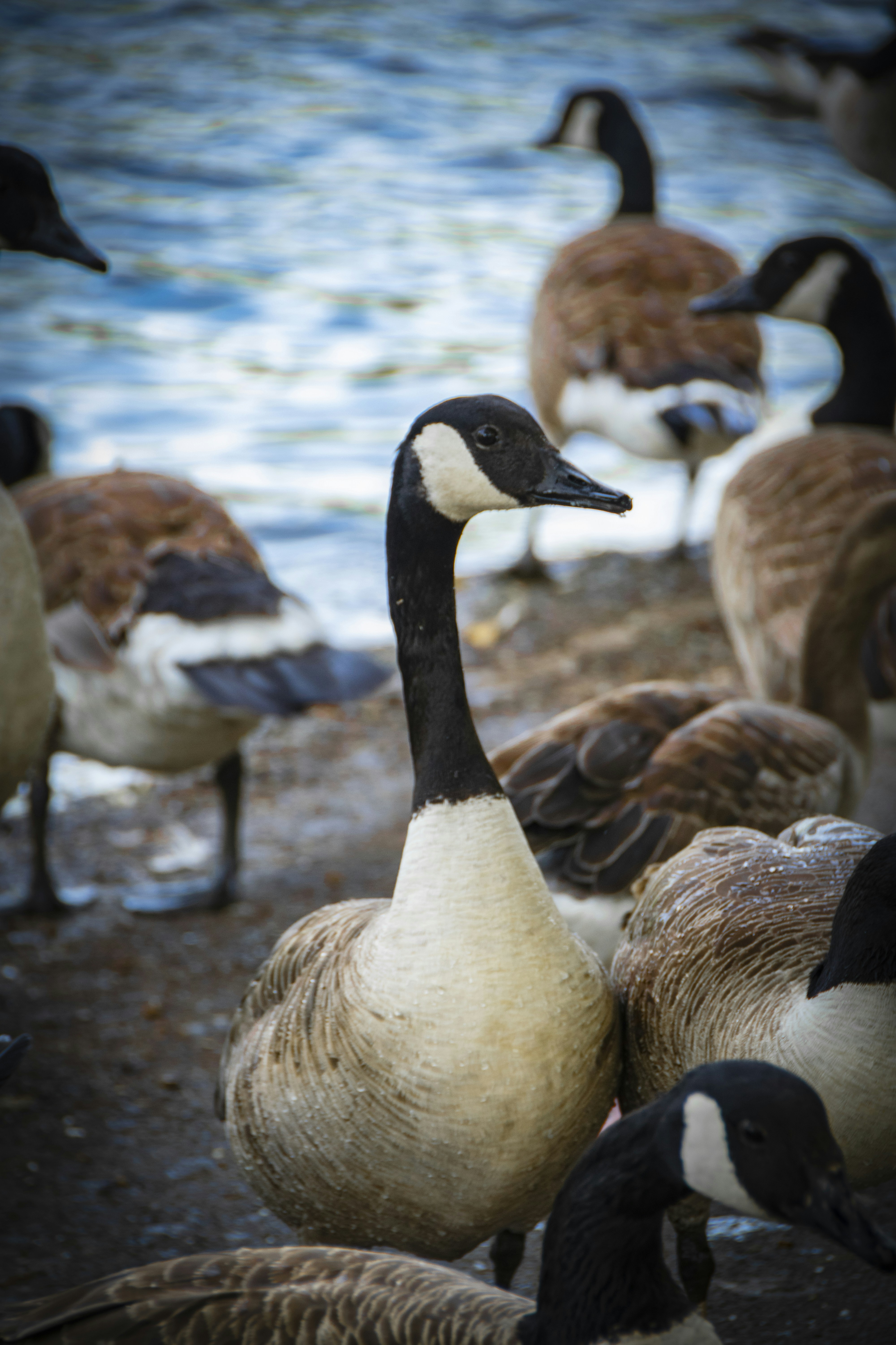 Photo by zubair_works