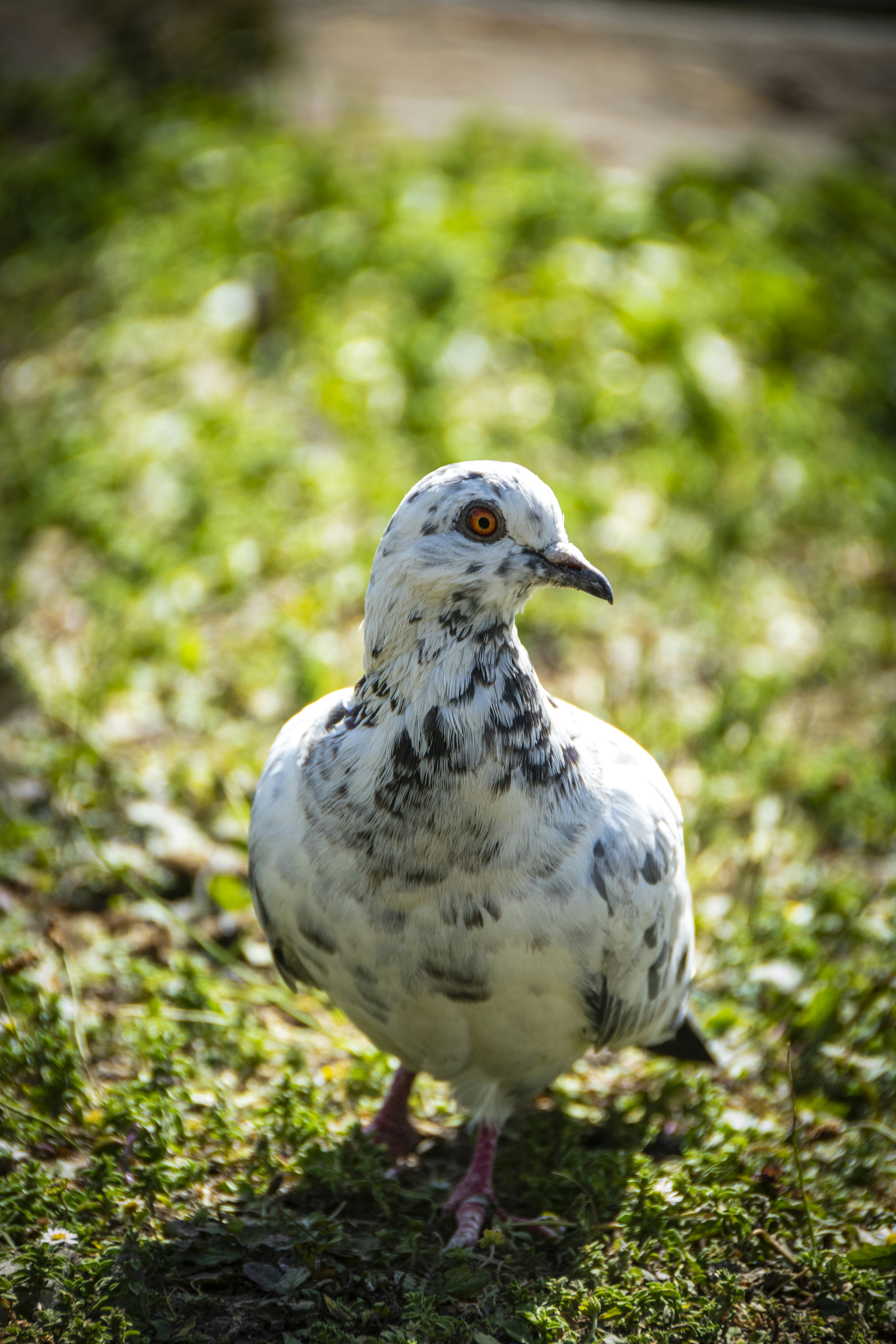 Photo by zubair_works