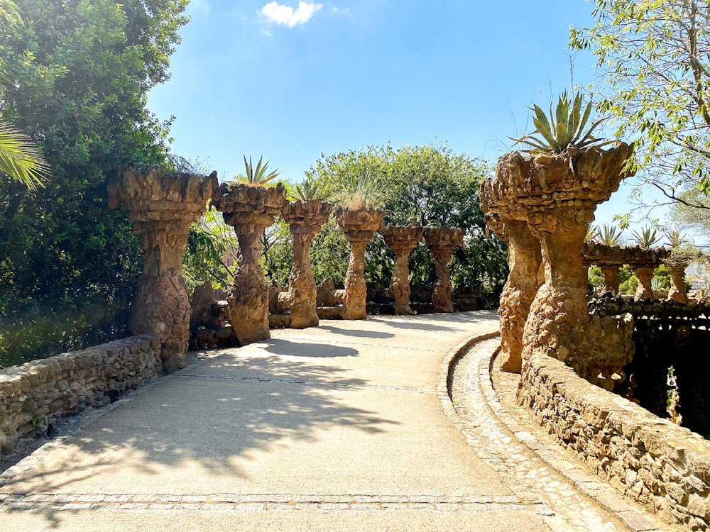 a path with trees on the side