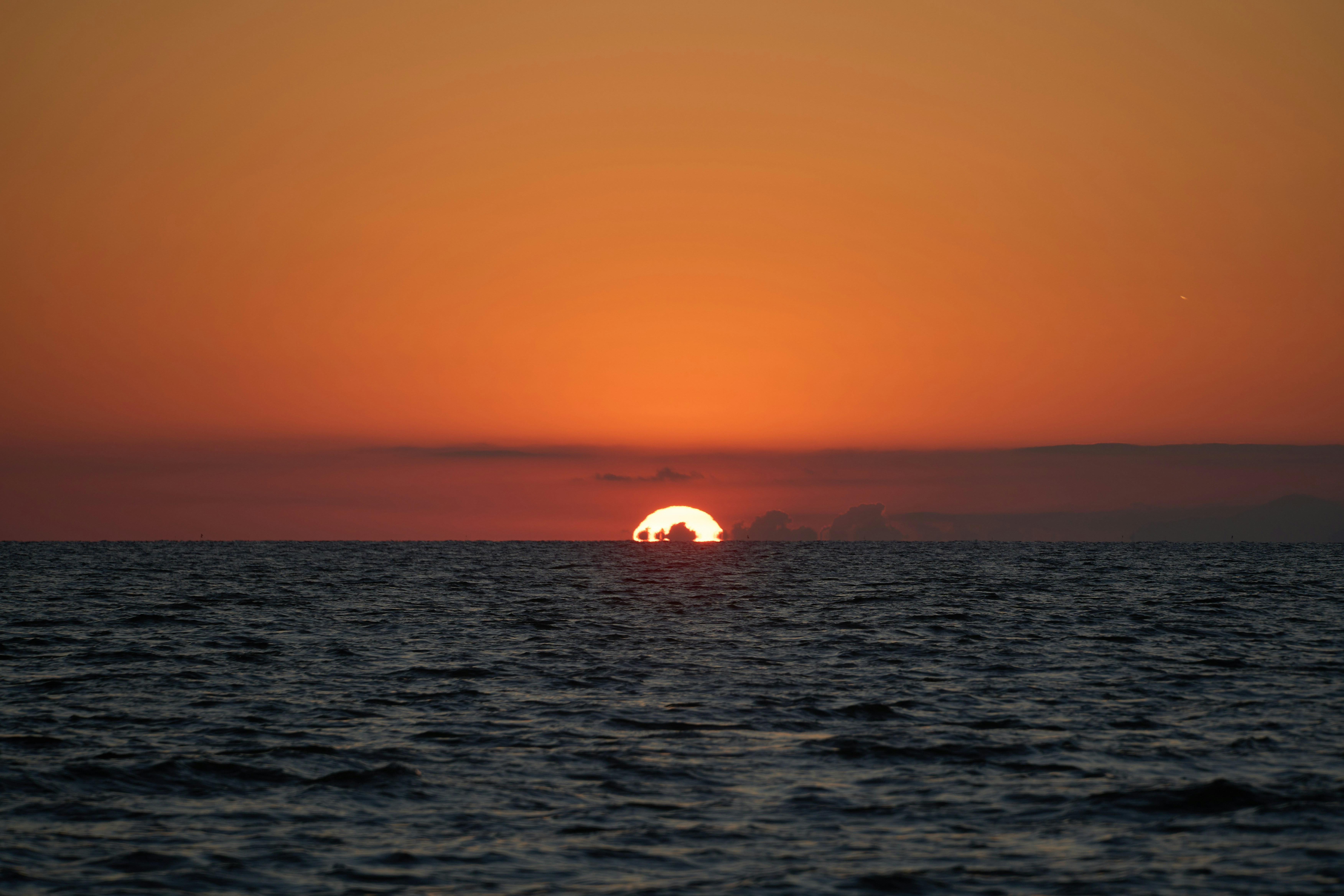 Photo by wolfgang_hasselmann