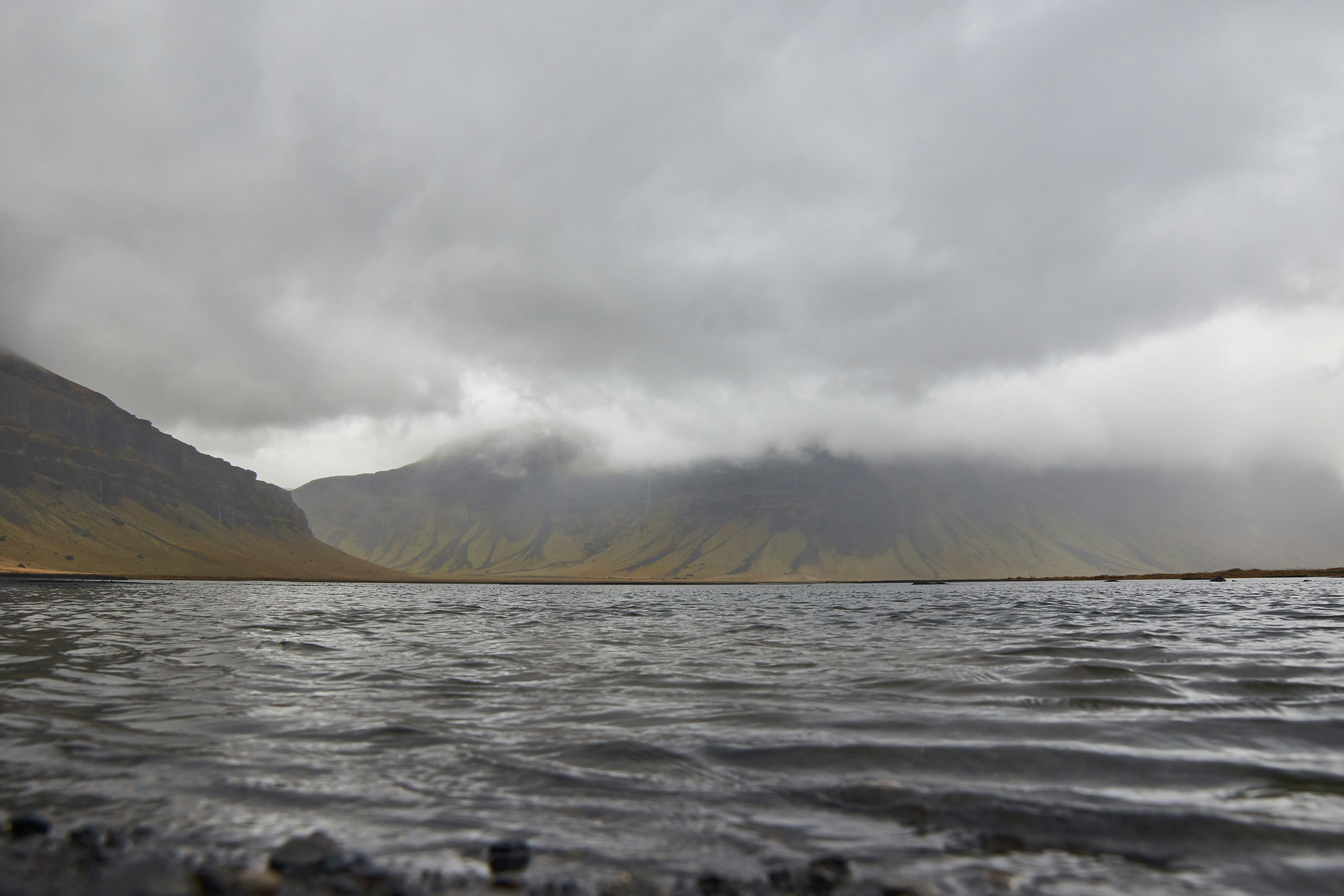 Photo by wolfgang_hasselmann