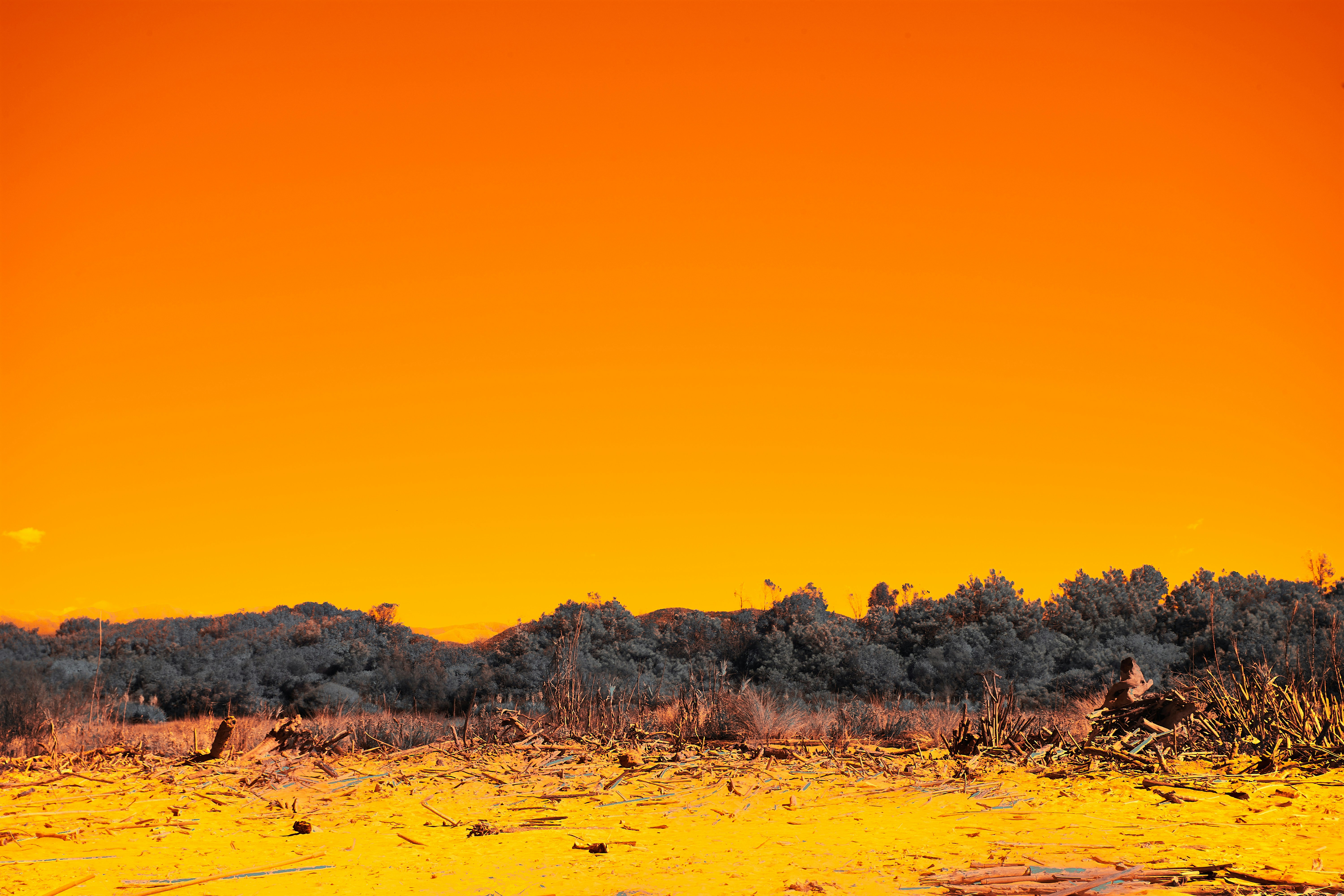 Photo by wolfgang_hasselmann