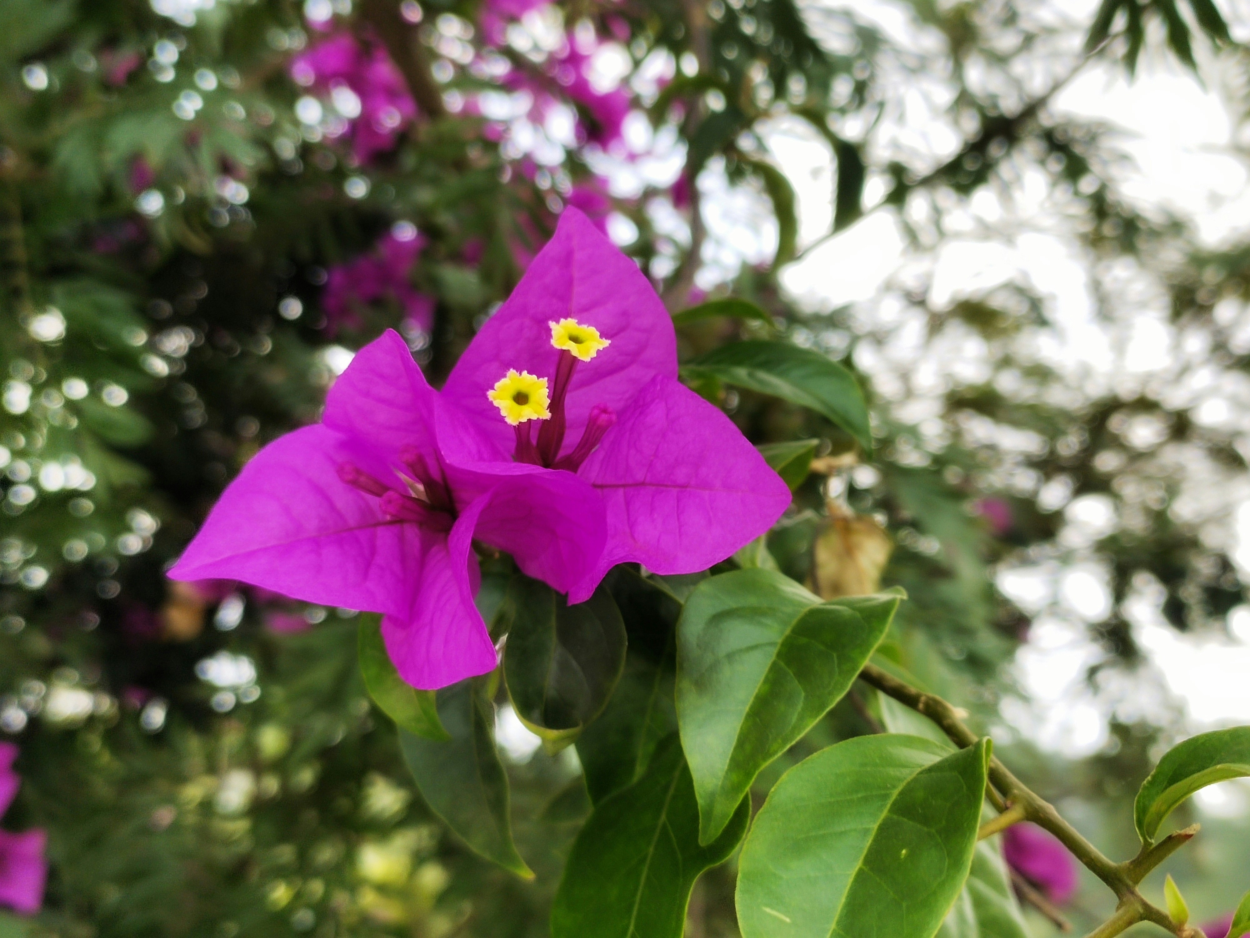 Photo by utkarshmaikhuri