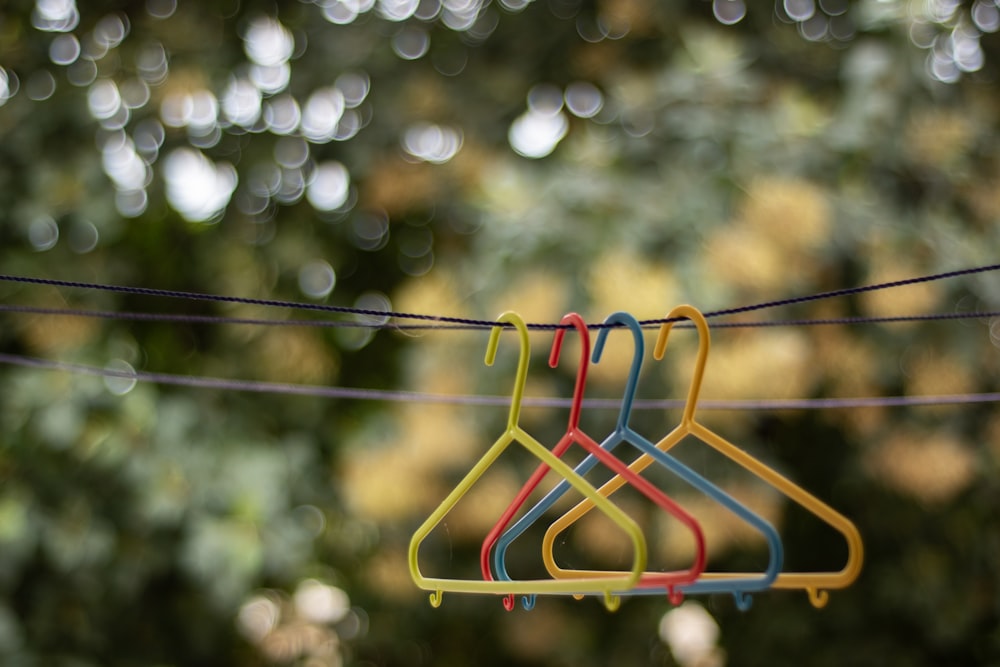 a pair of colorful hoops