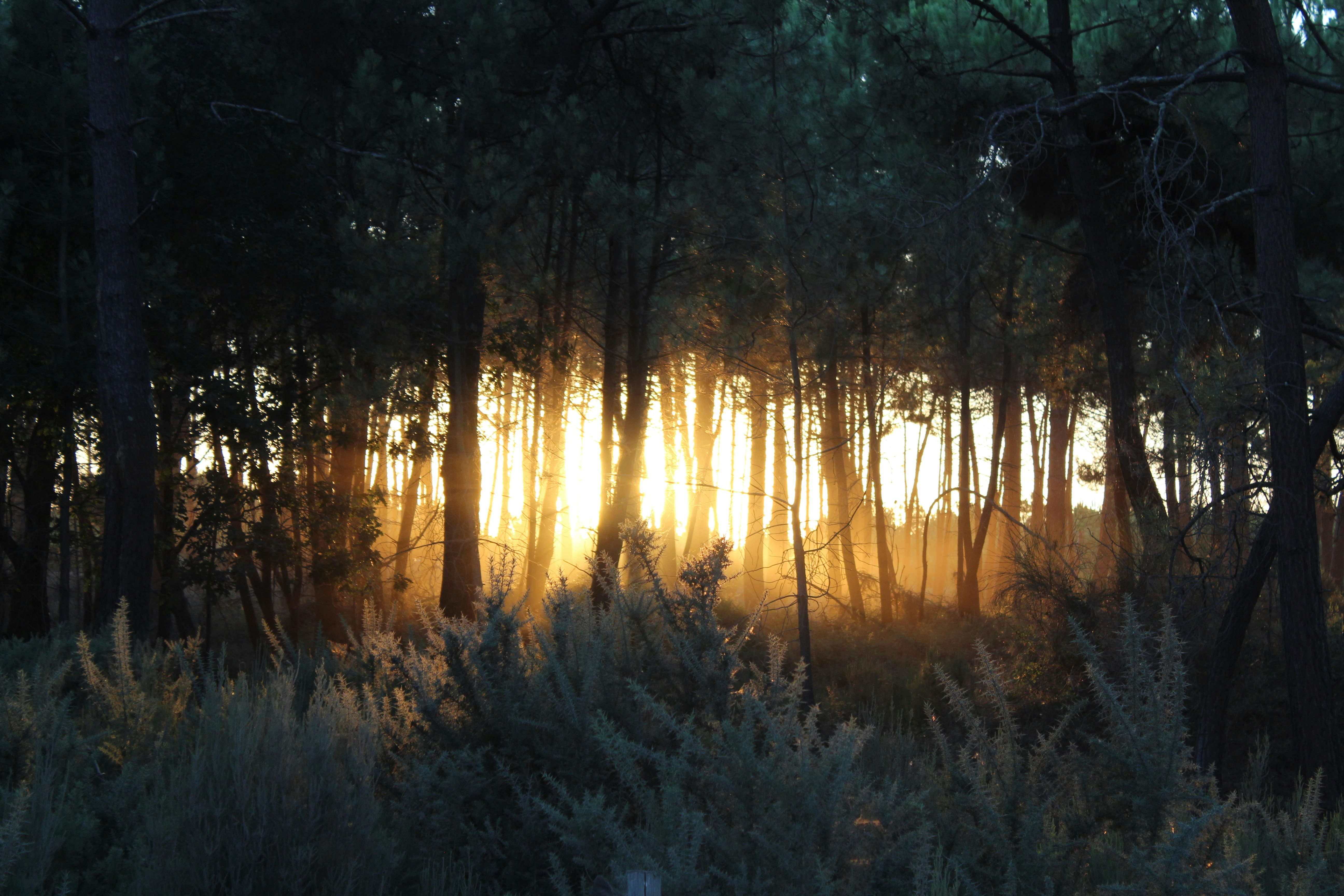 Photo by tobywrobinson