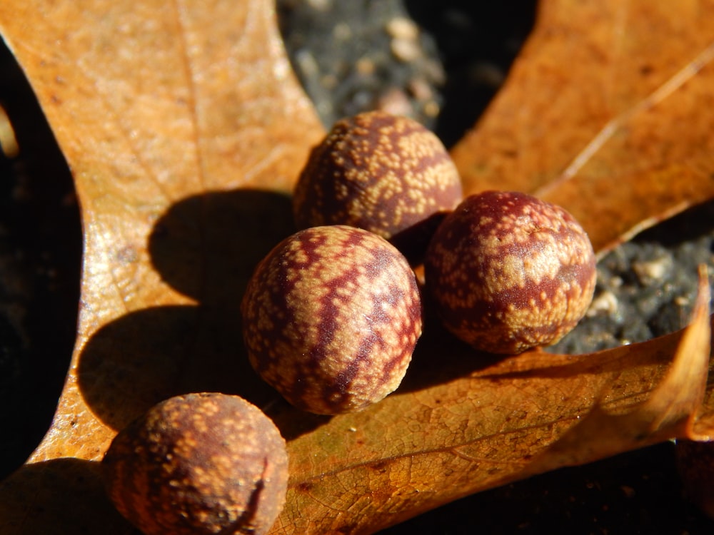 a group of round objects