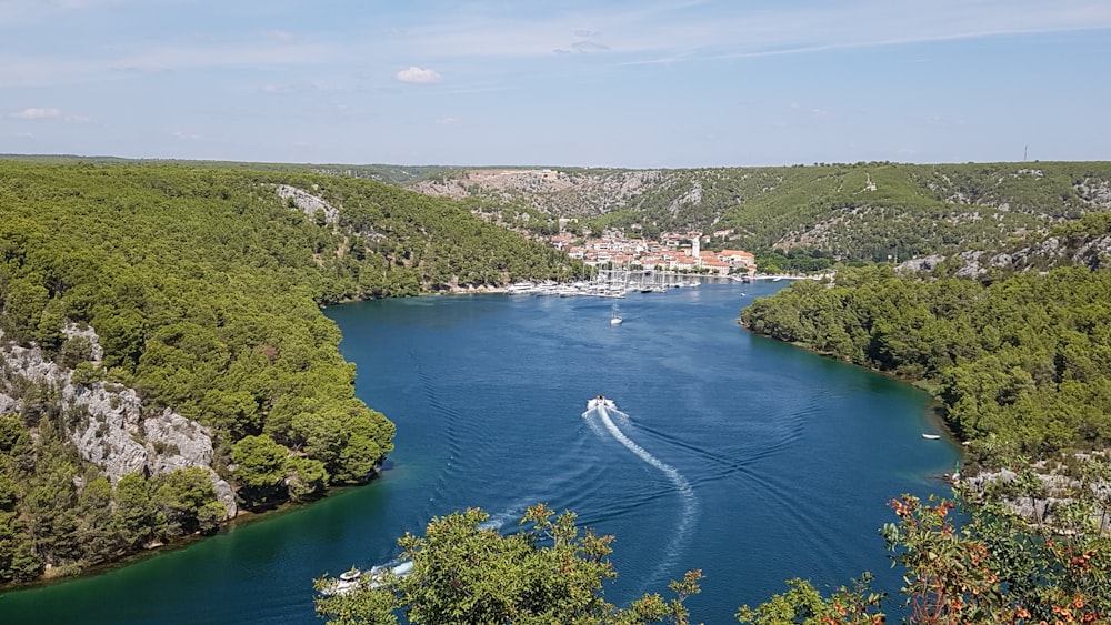 a body of water with trees and buildings around it