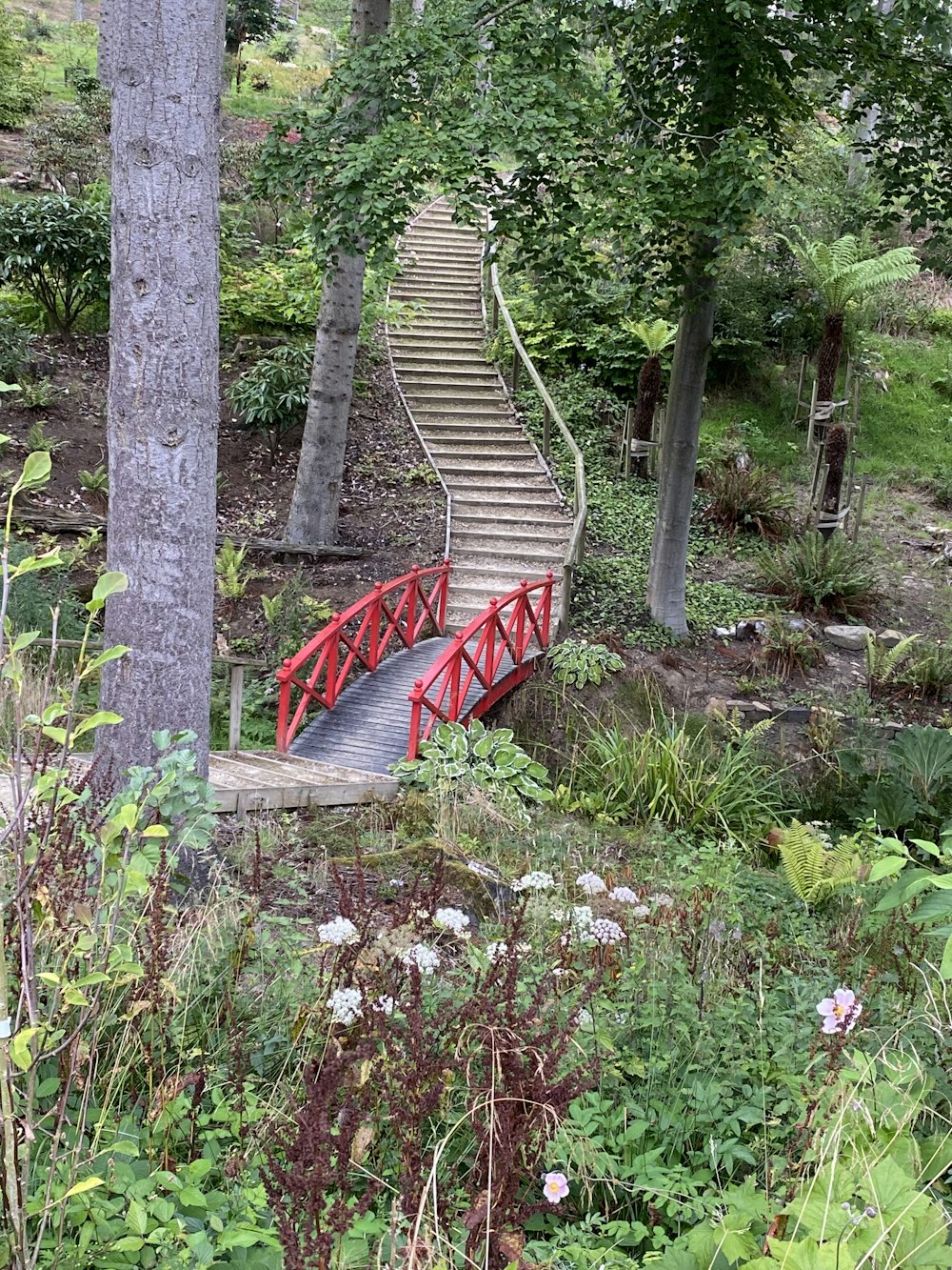 a red bench in a park