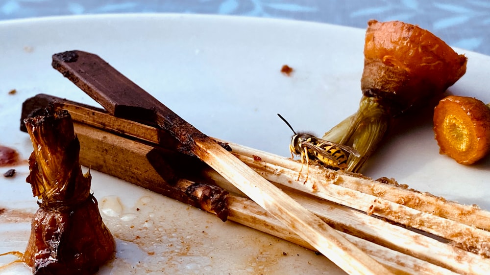 a bug on a piece of wood