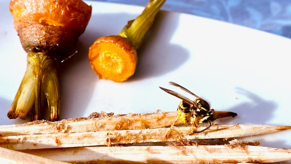una abeja en un trozo de madera