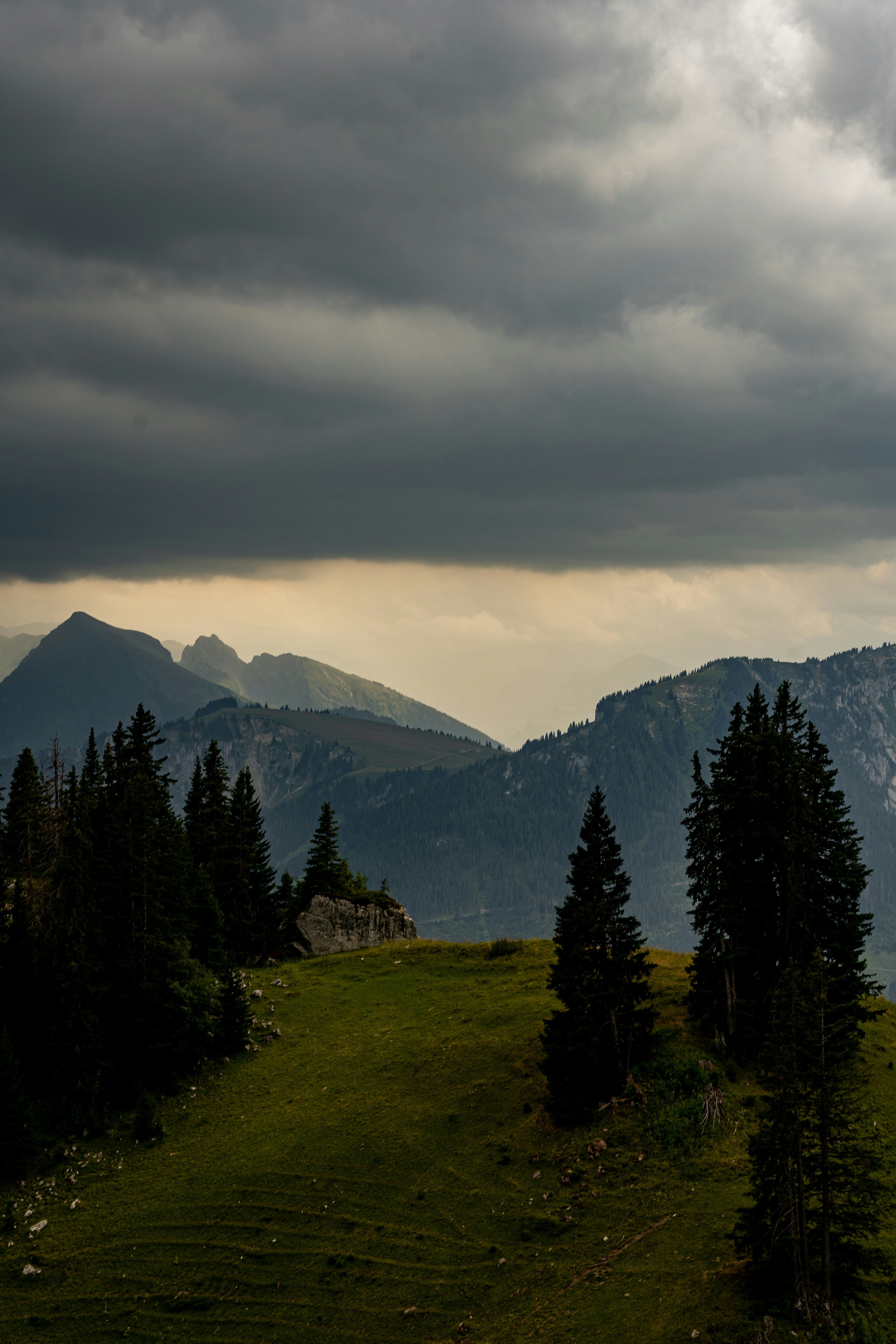 Montagne aspre con alberi sempreverdi sotto un cielo tempestoso.