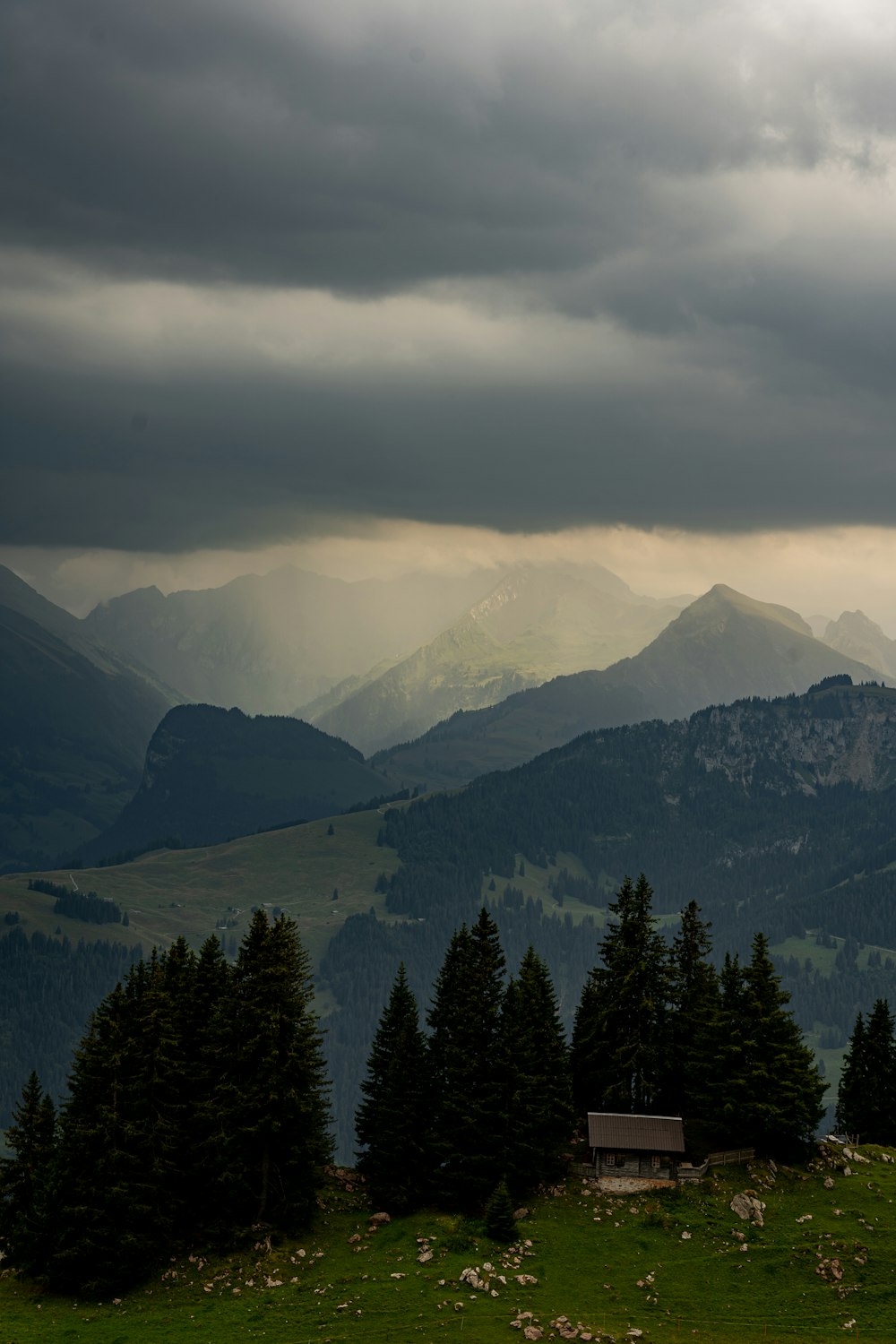 a landscape with trees and mountains in the back