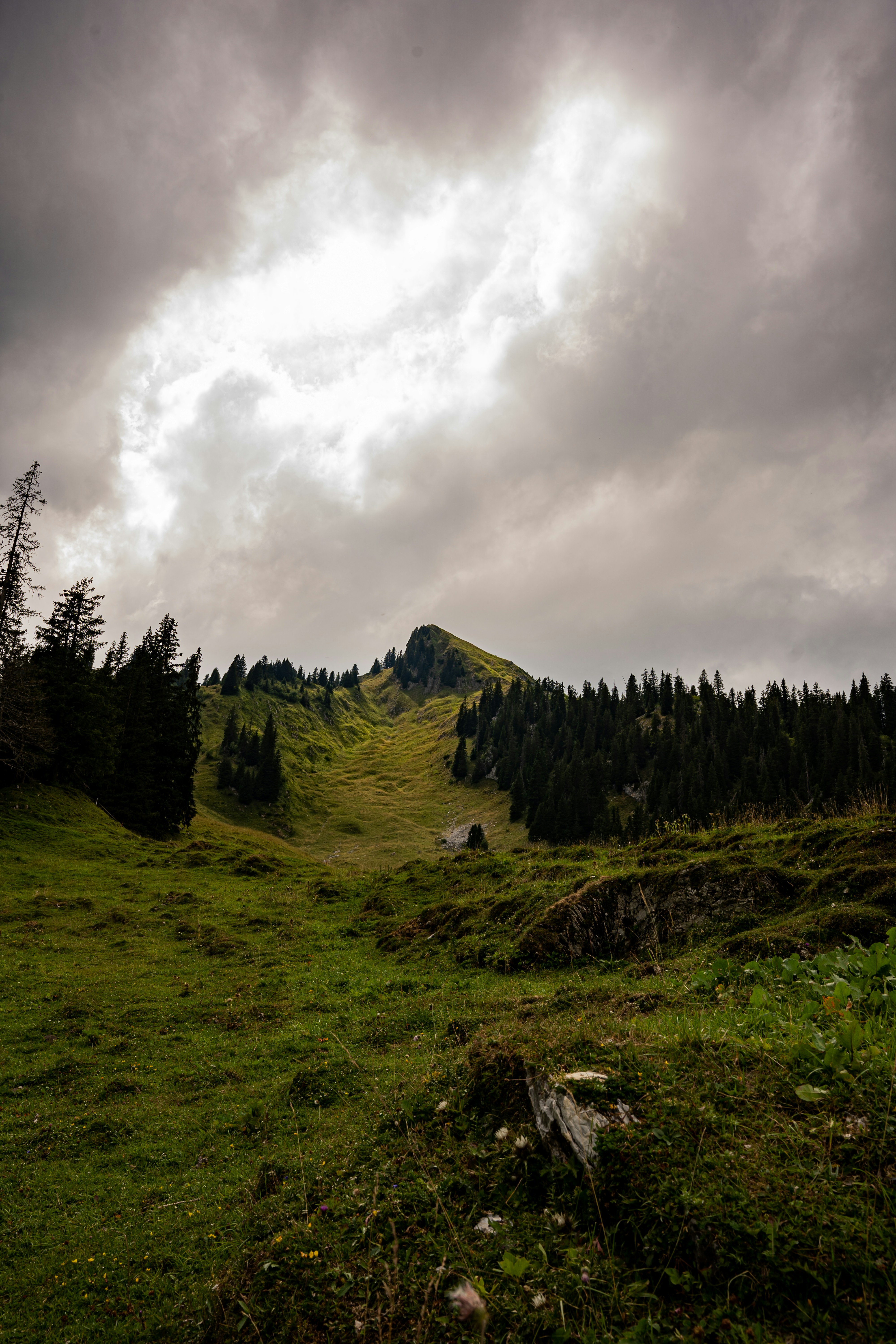 Photo by dariobroe