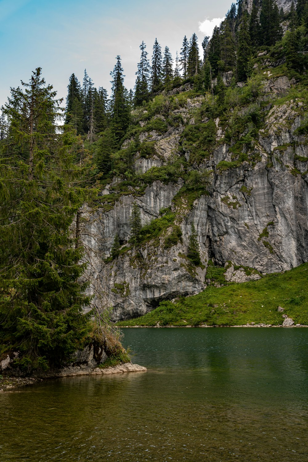 a cliff with trees on it