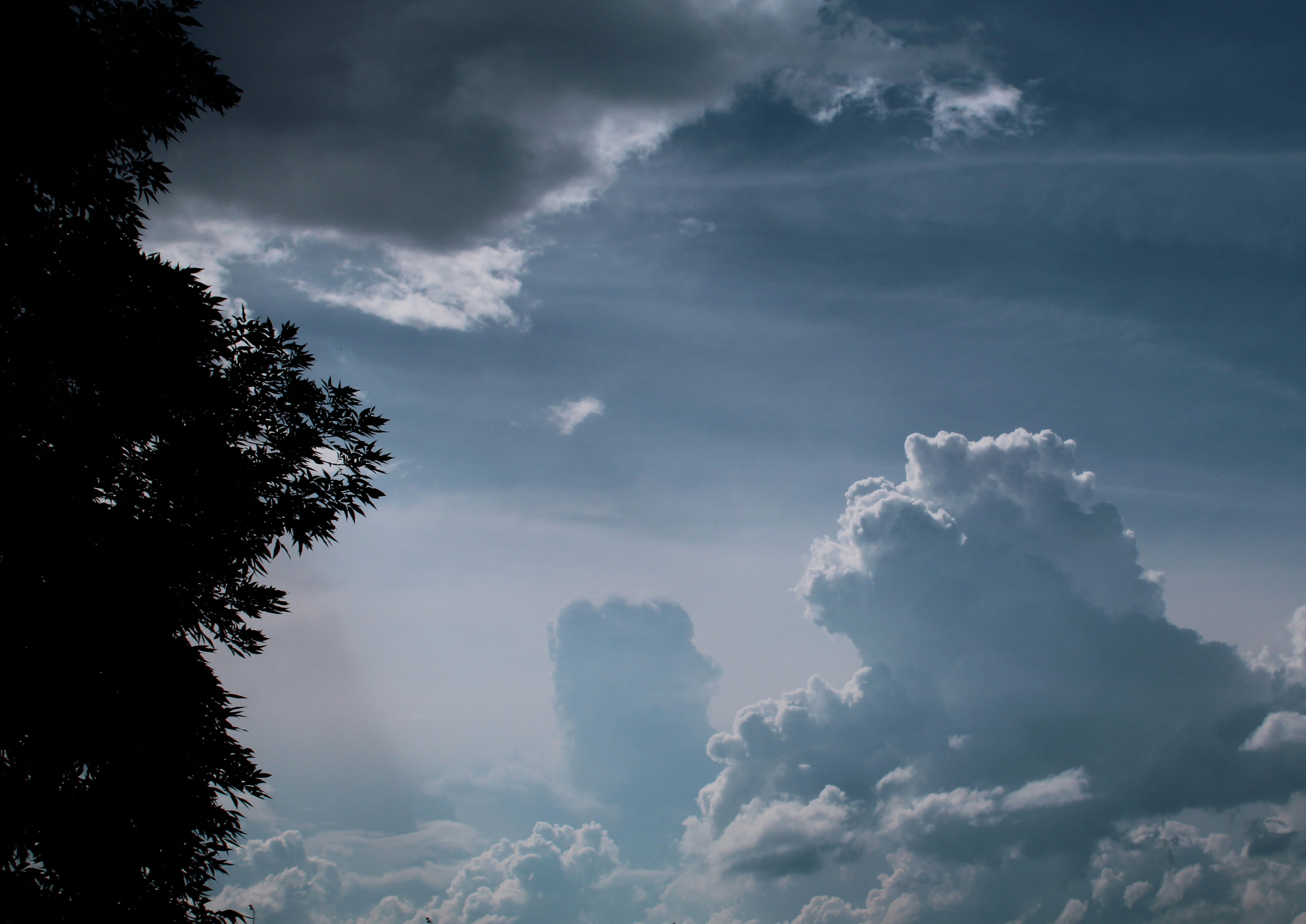 Photo by theoldbeautifulman