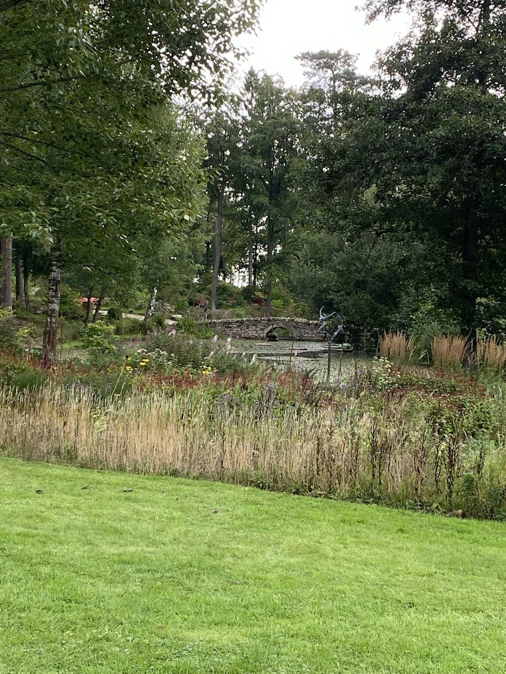 a grassy area with trees in the back