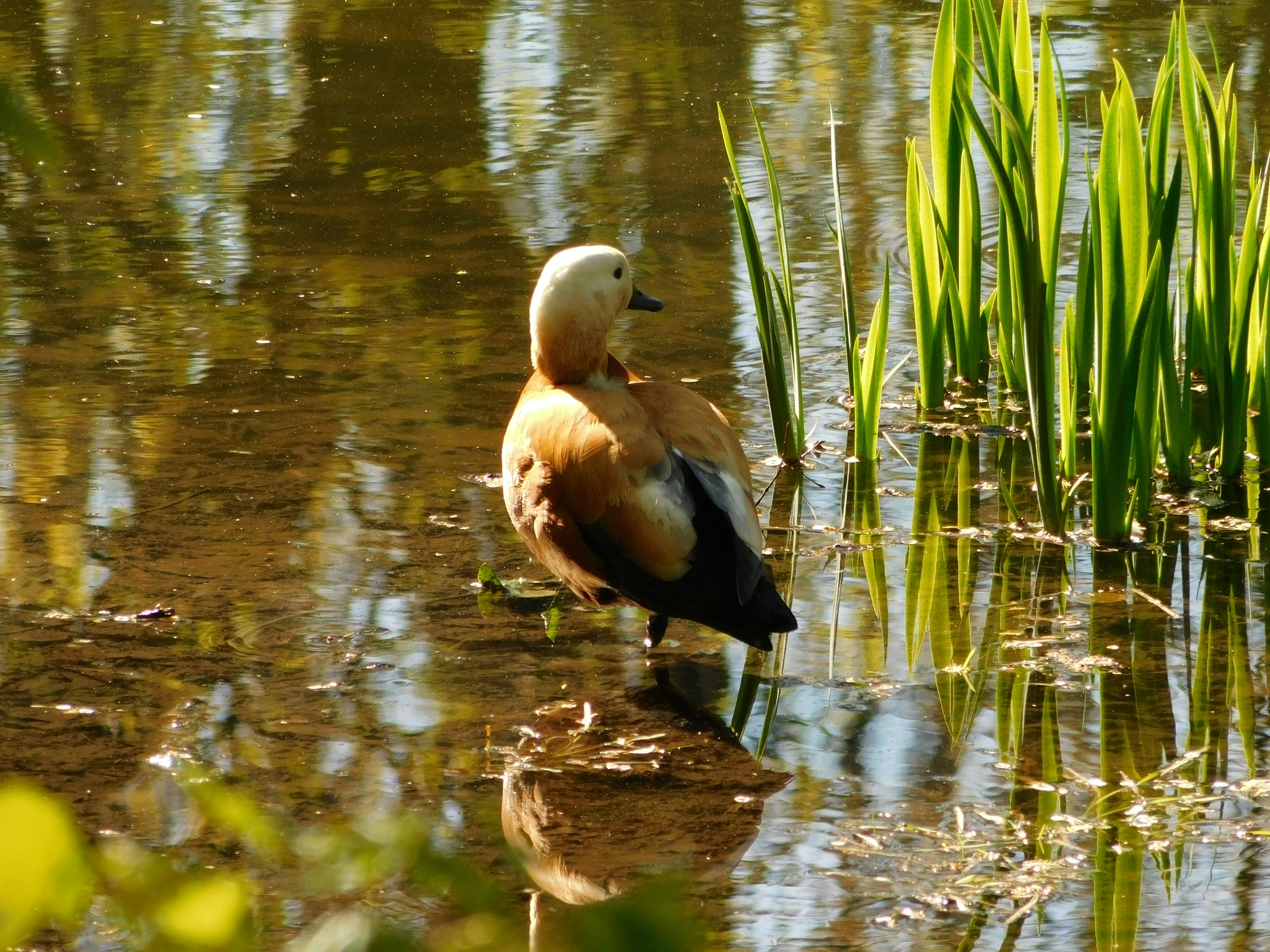 Photo by theoldbeautifulman