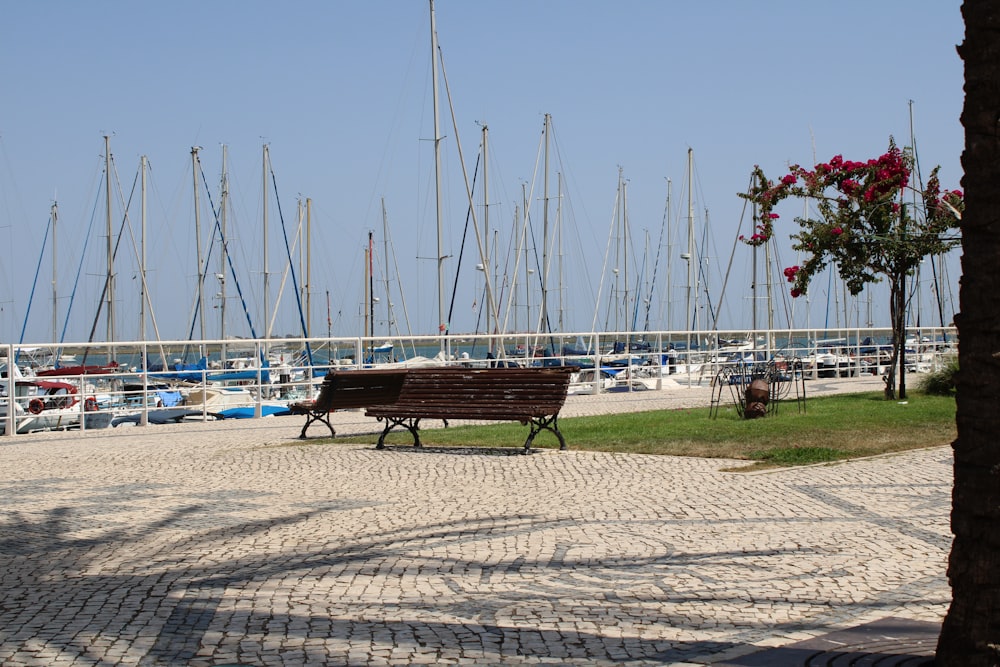 a bench sits unoccupied