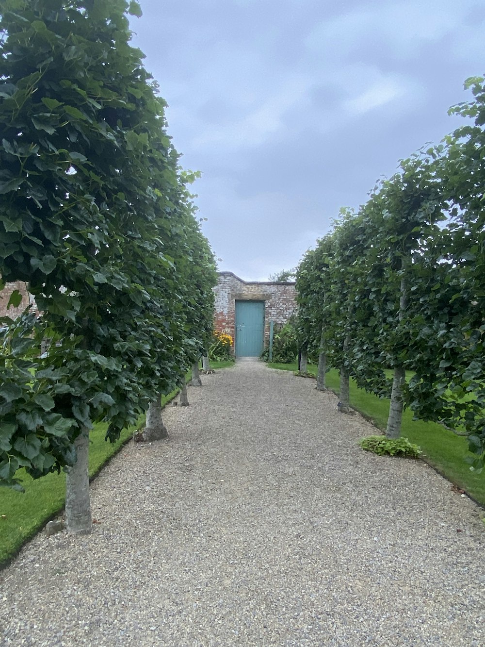 a path with trees on the side