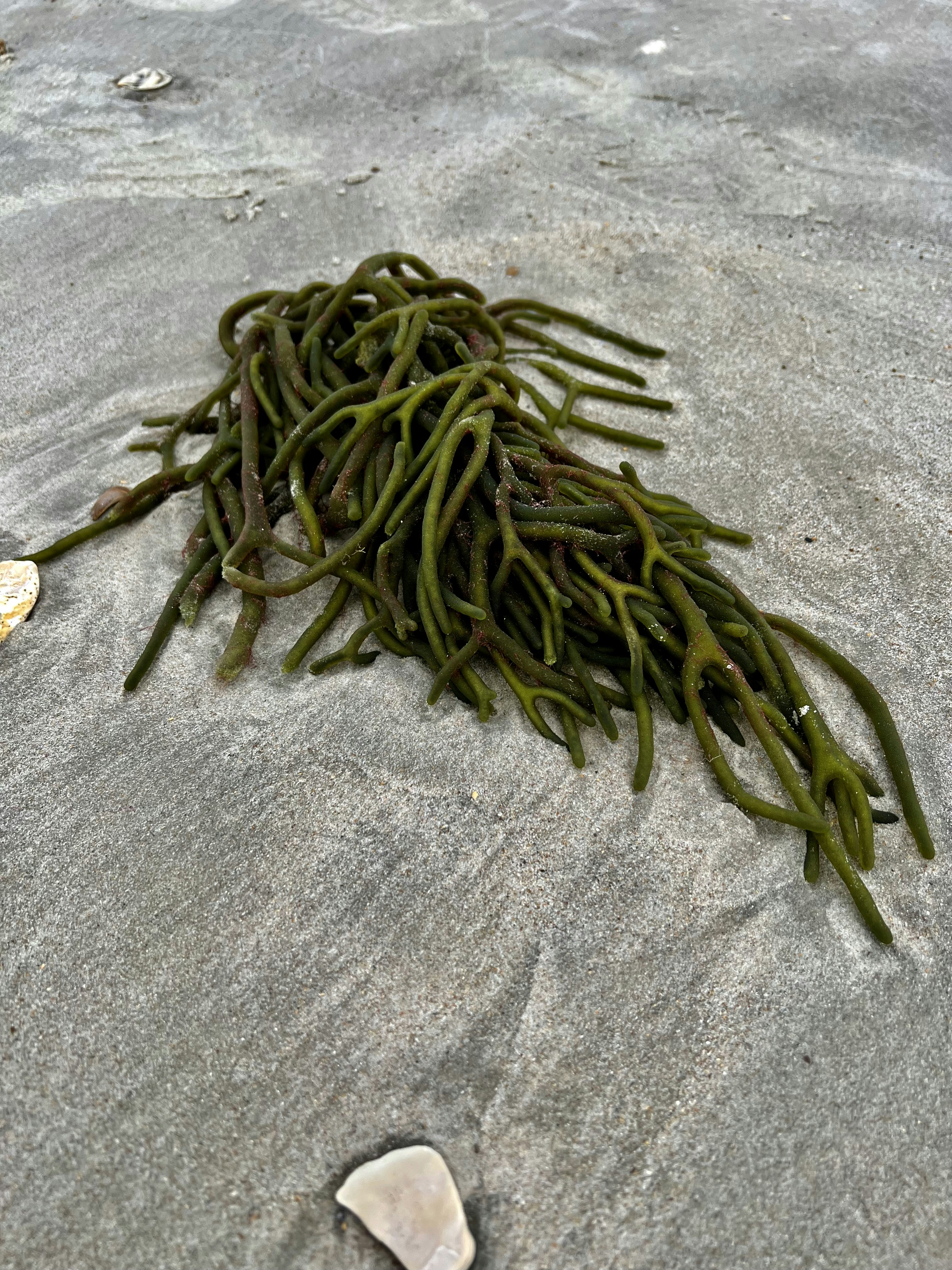 Photo by stormin1norman