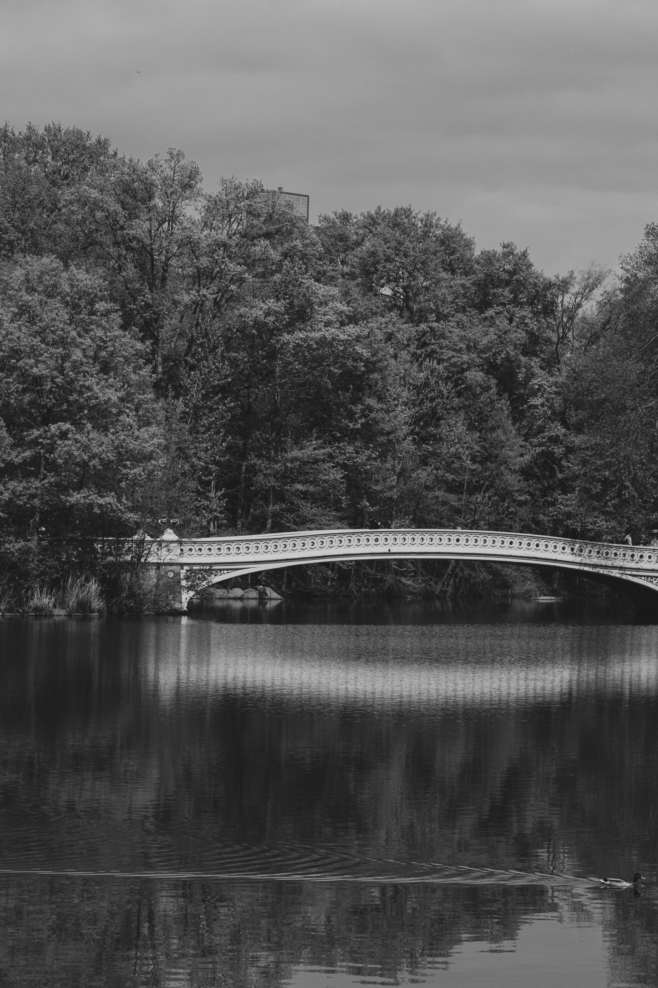 Photo by thesoulfisher