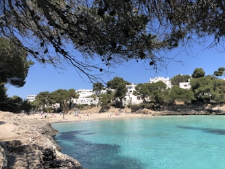 a beach with people on it