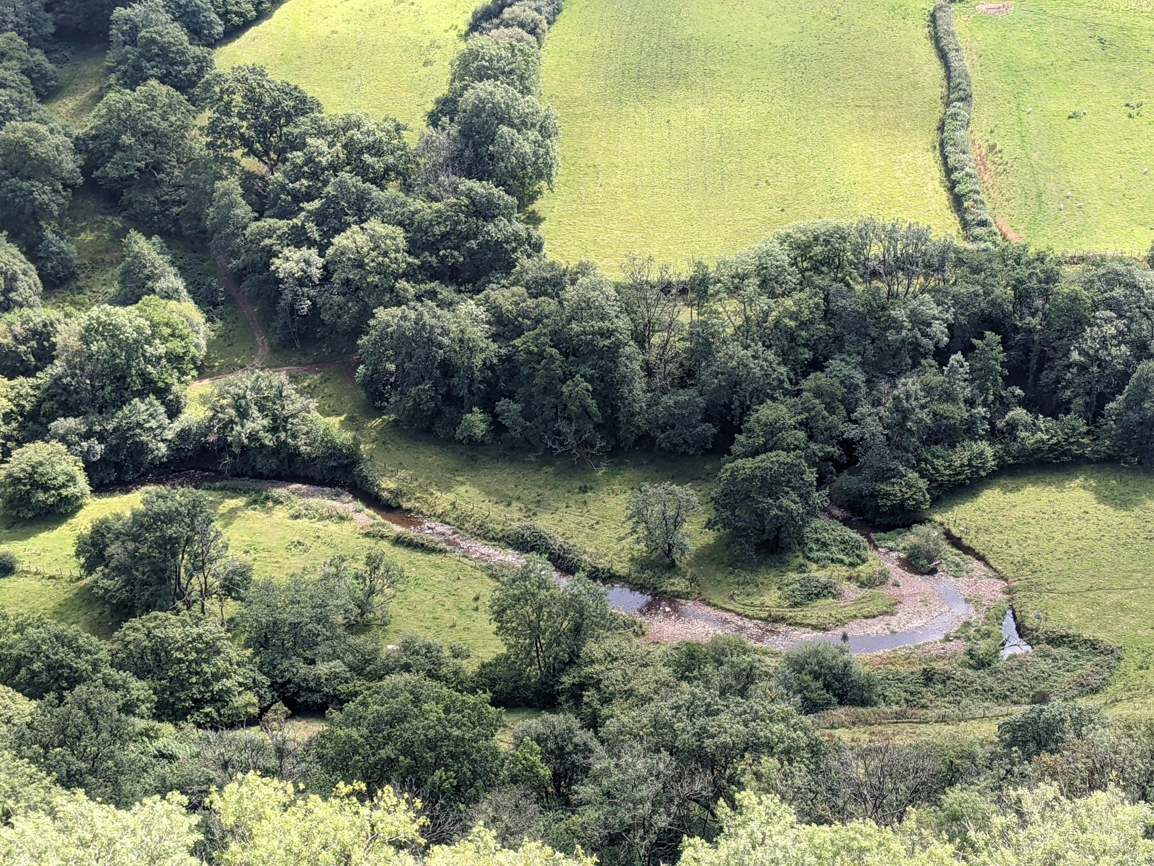 Photo by god_is_good