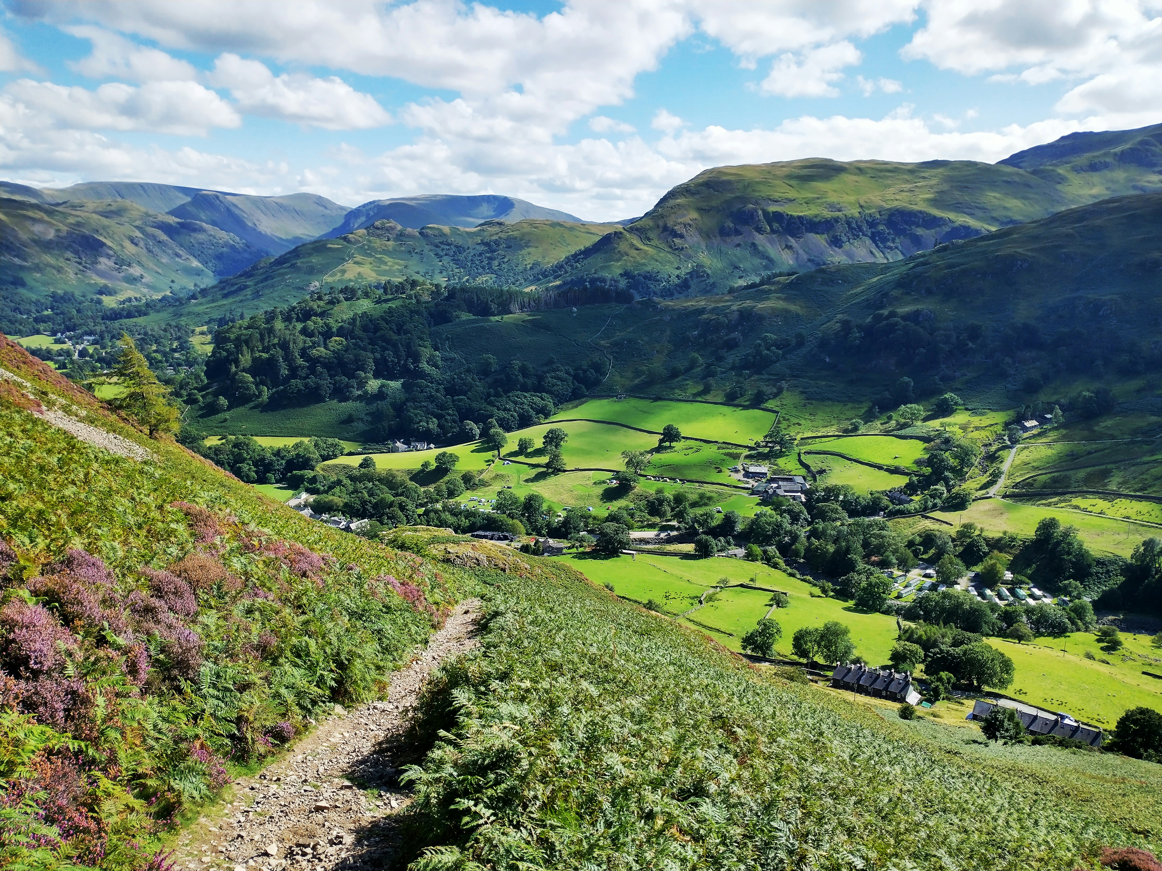丘と木々のある風景