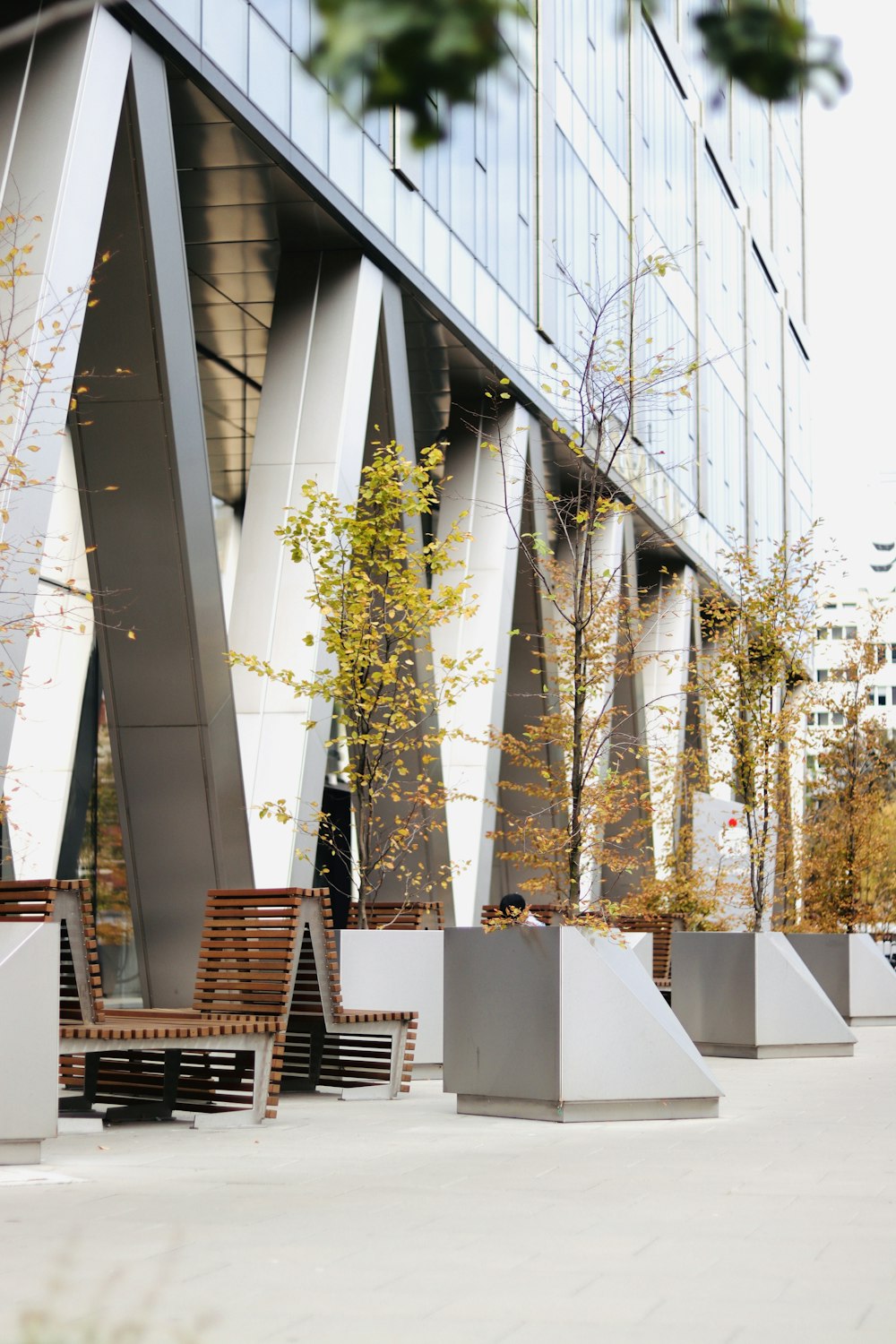 a building with trees and stairs