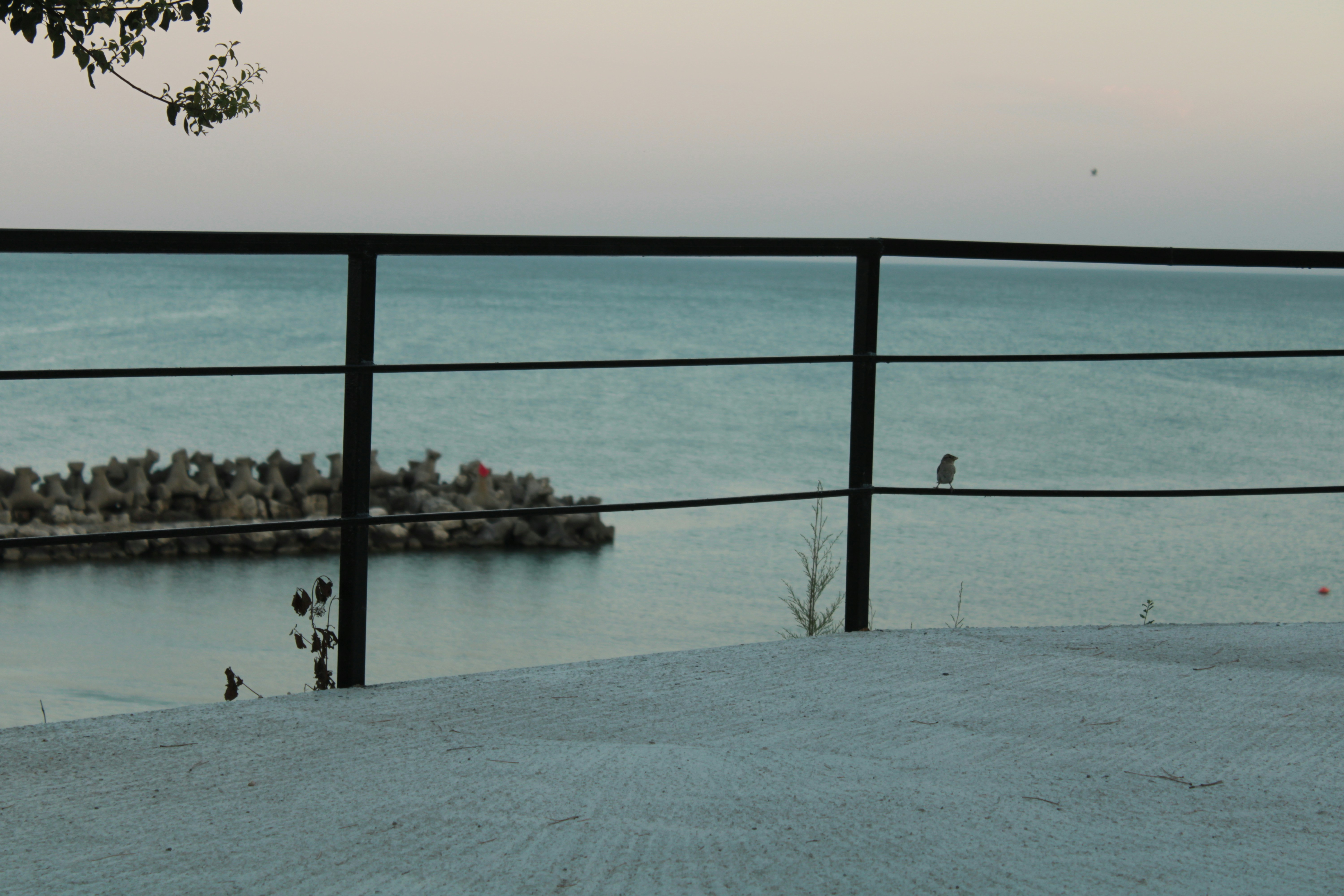 Photo by thorai9akira