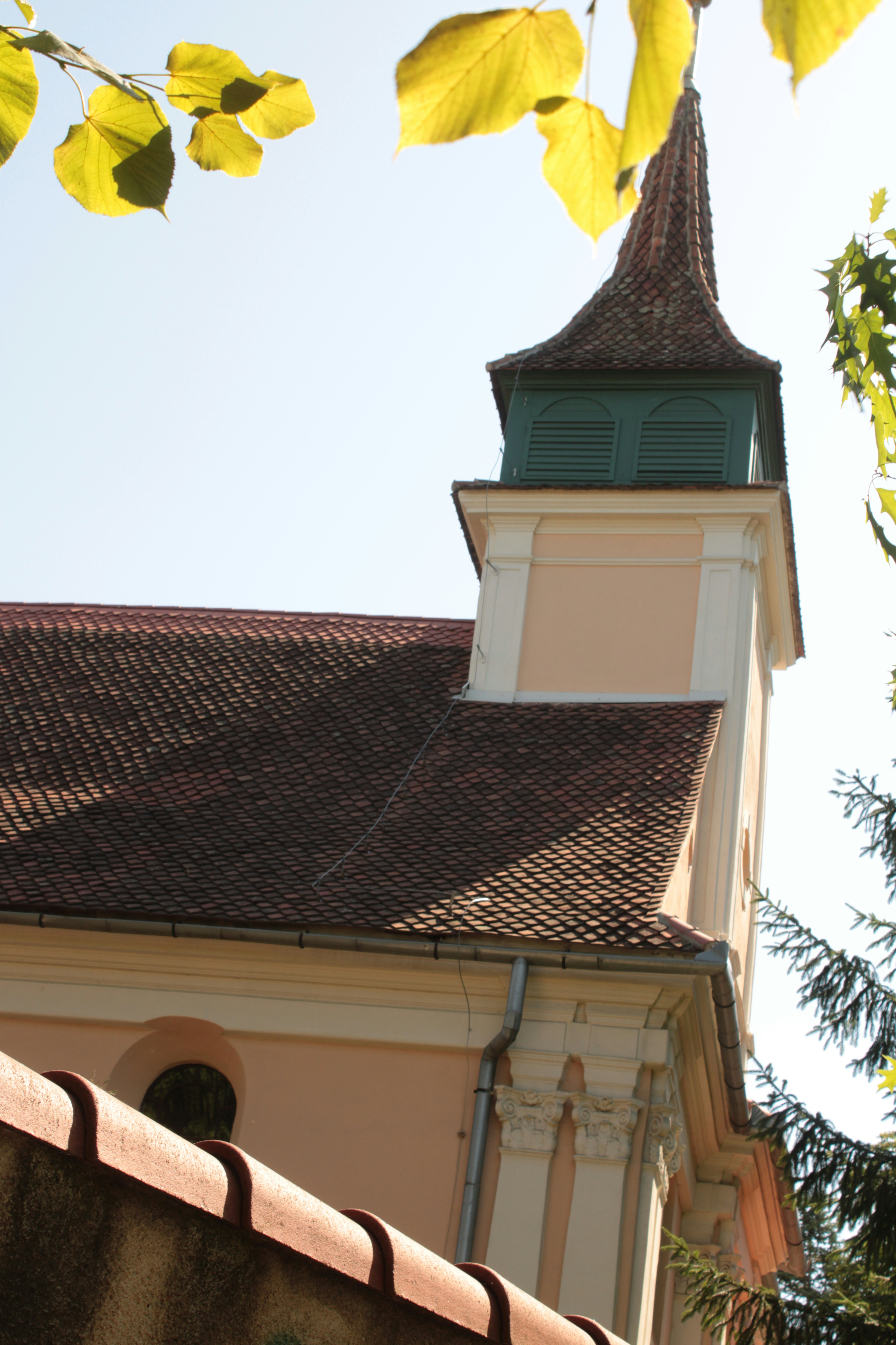 Photo by thorai9akira