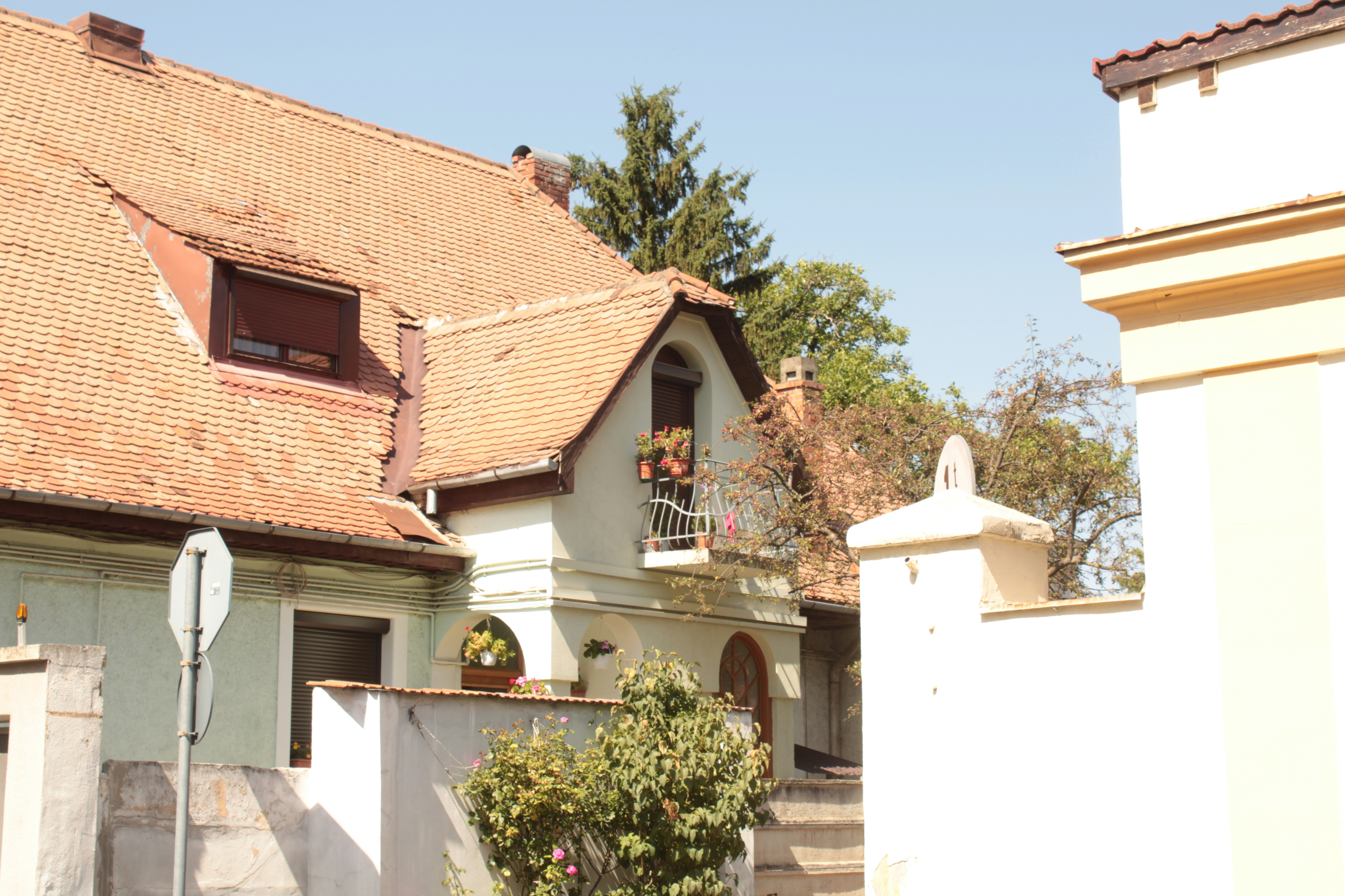 Photo by thorai9akira