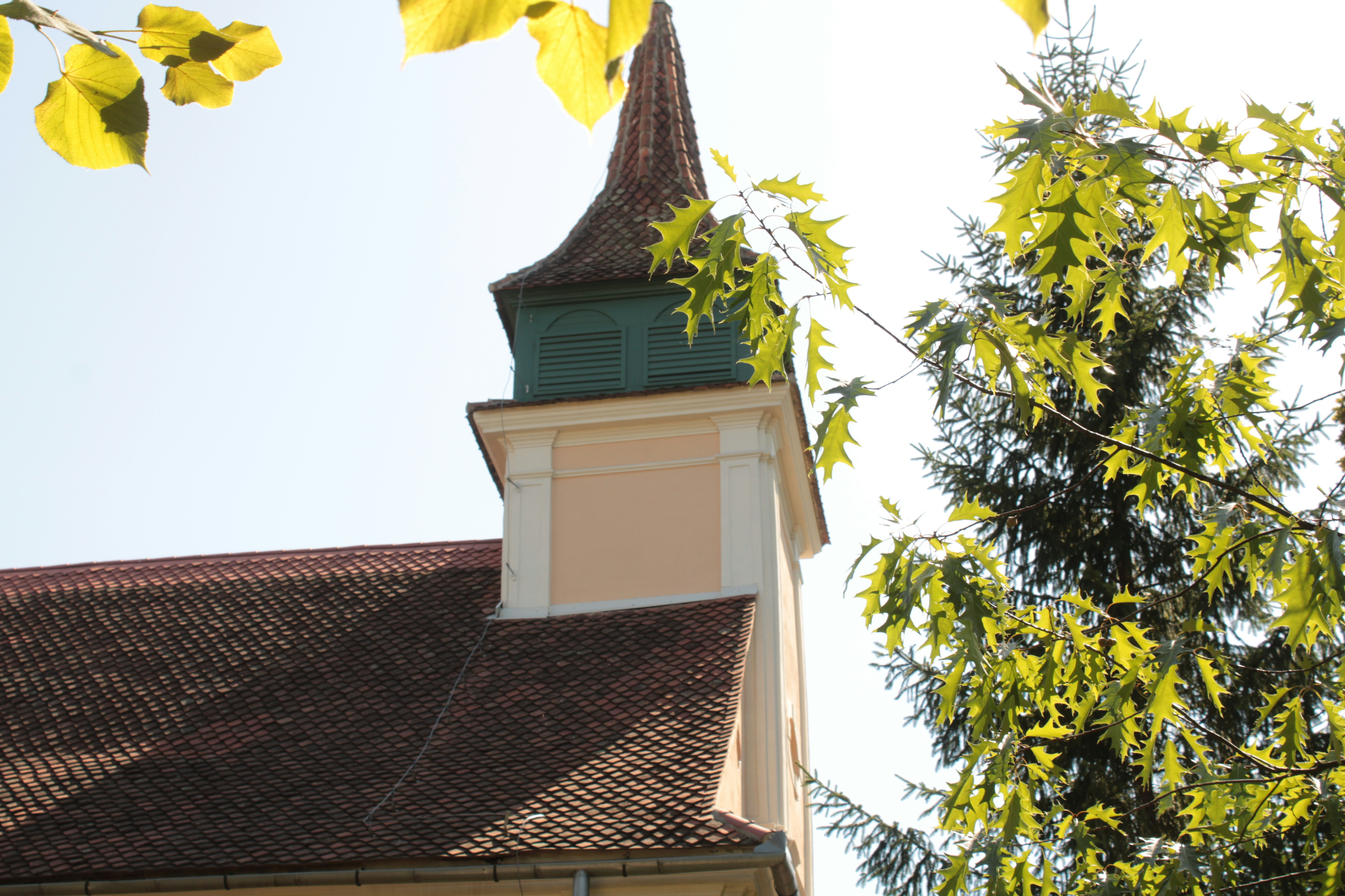 Photo by thorai9akira