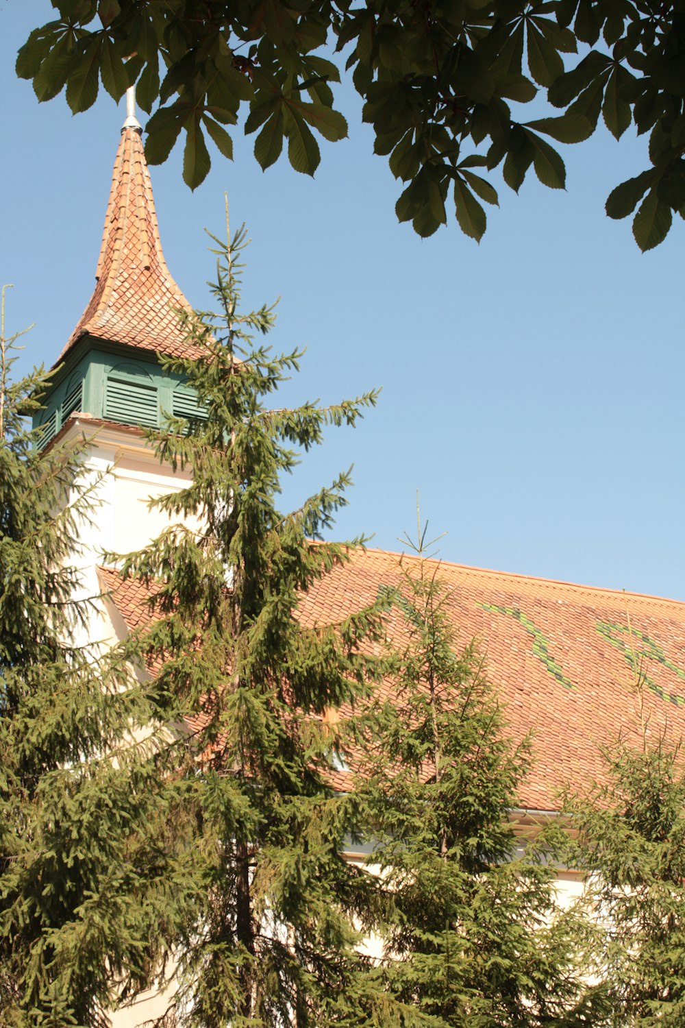 a tree with a building in the background