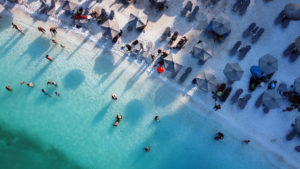 people swimming in a pool