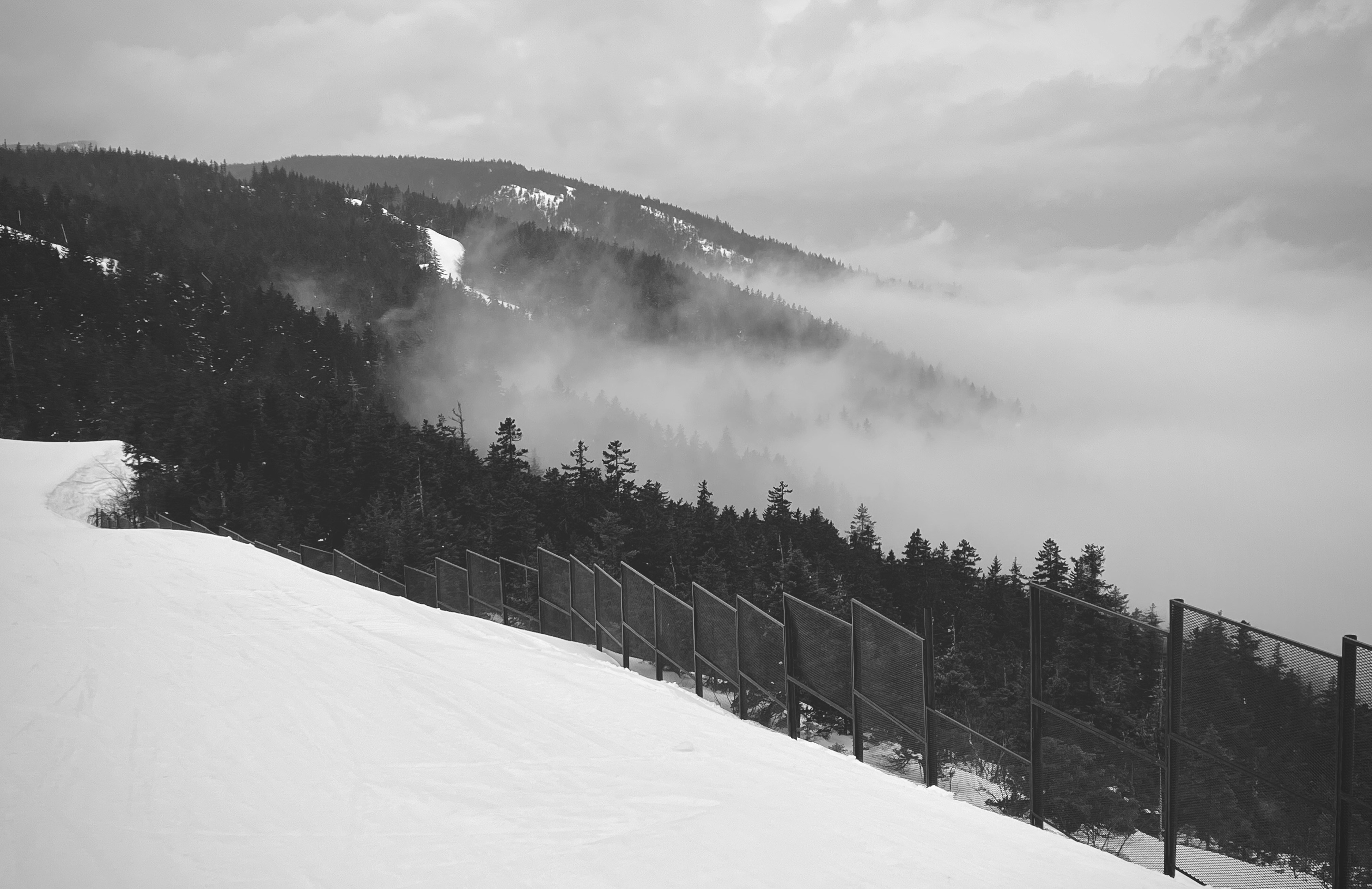 Photo by ian_falck