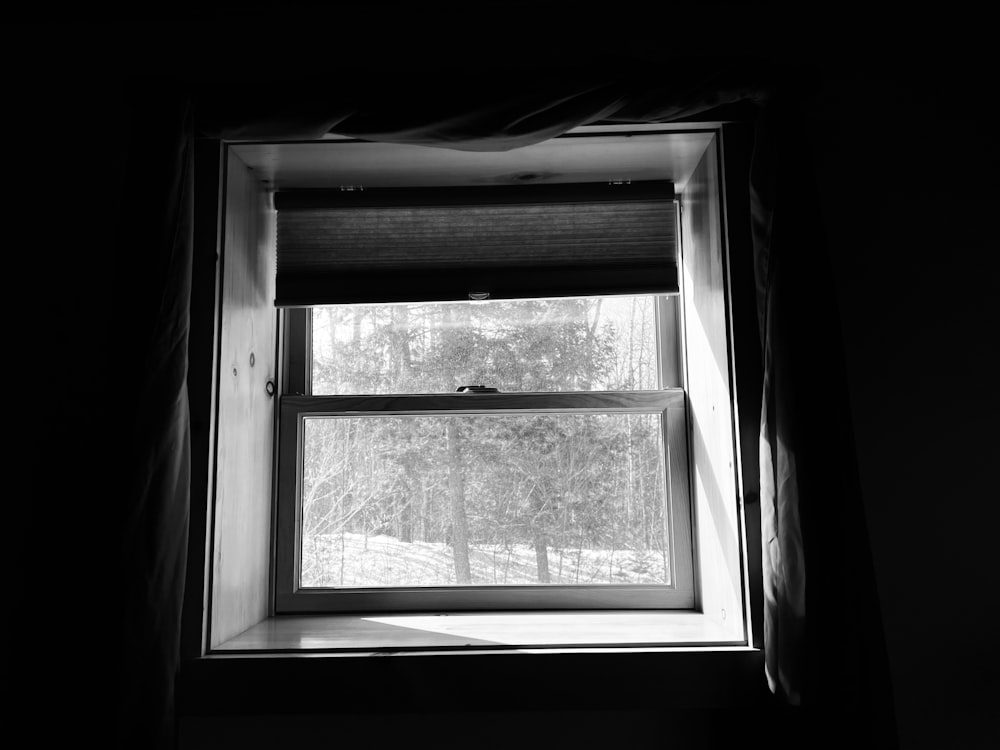 una ventana con vistas a un árbol afuera