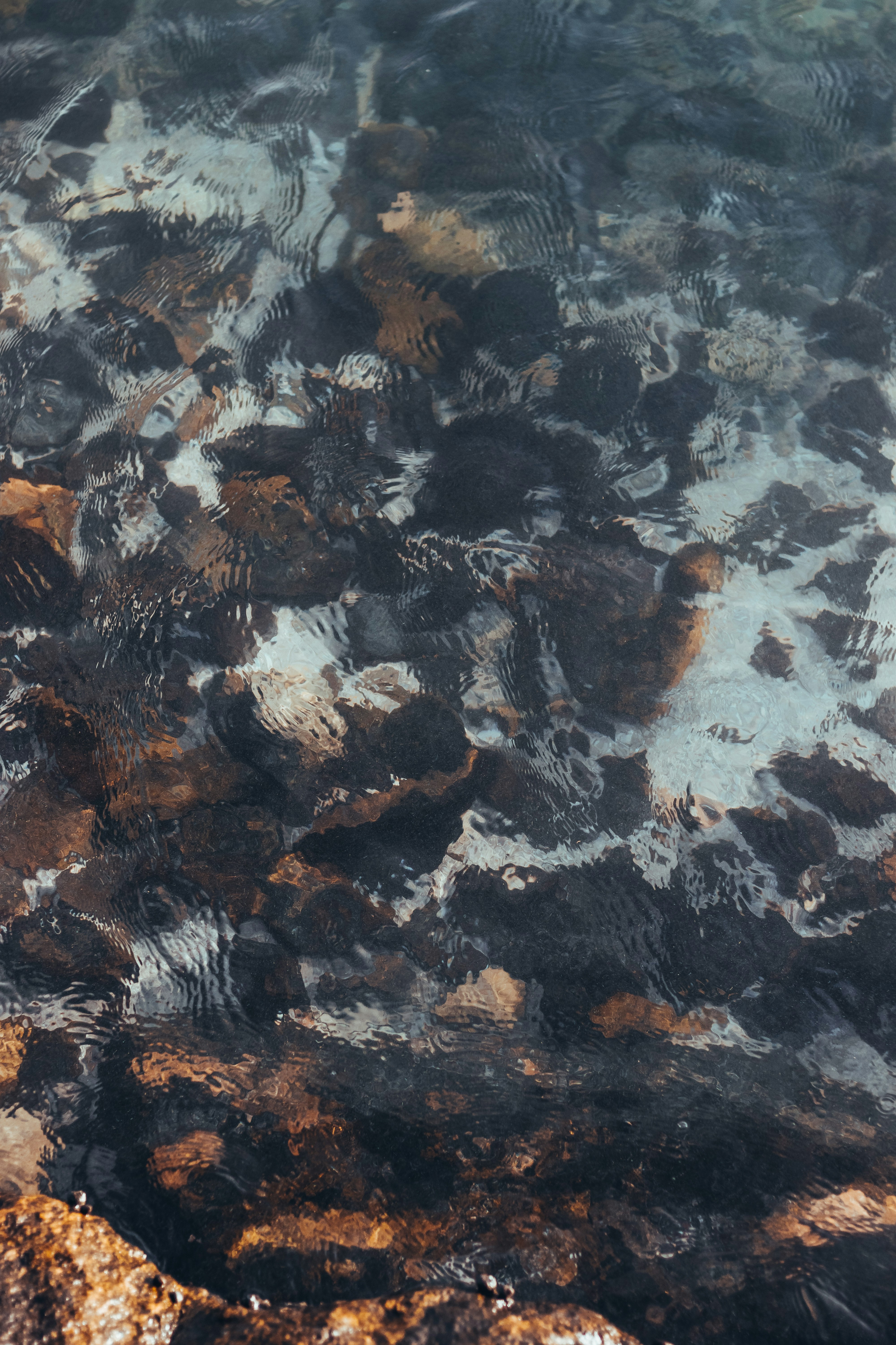 Photo by salaheregouane