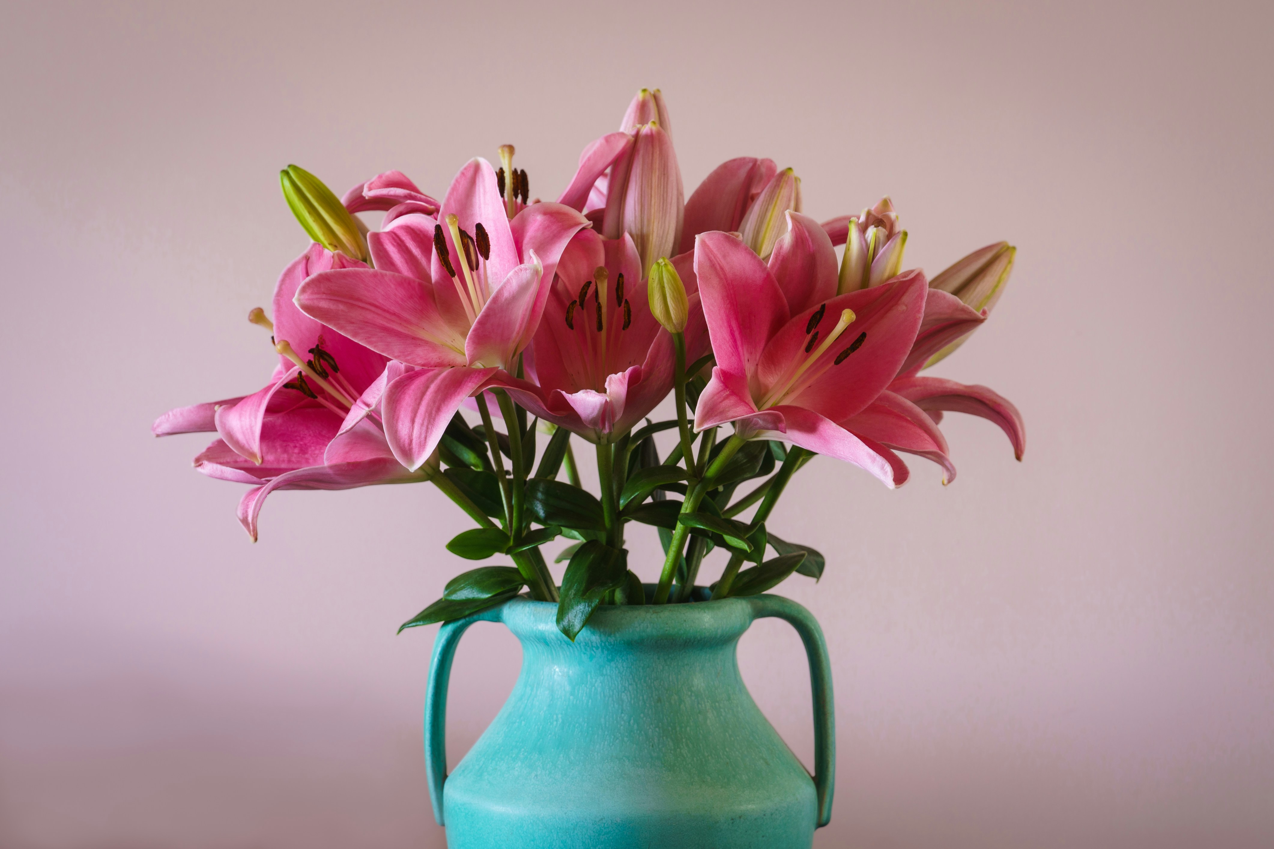 Photo by earl_plannerzone