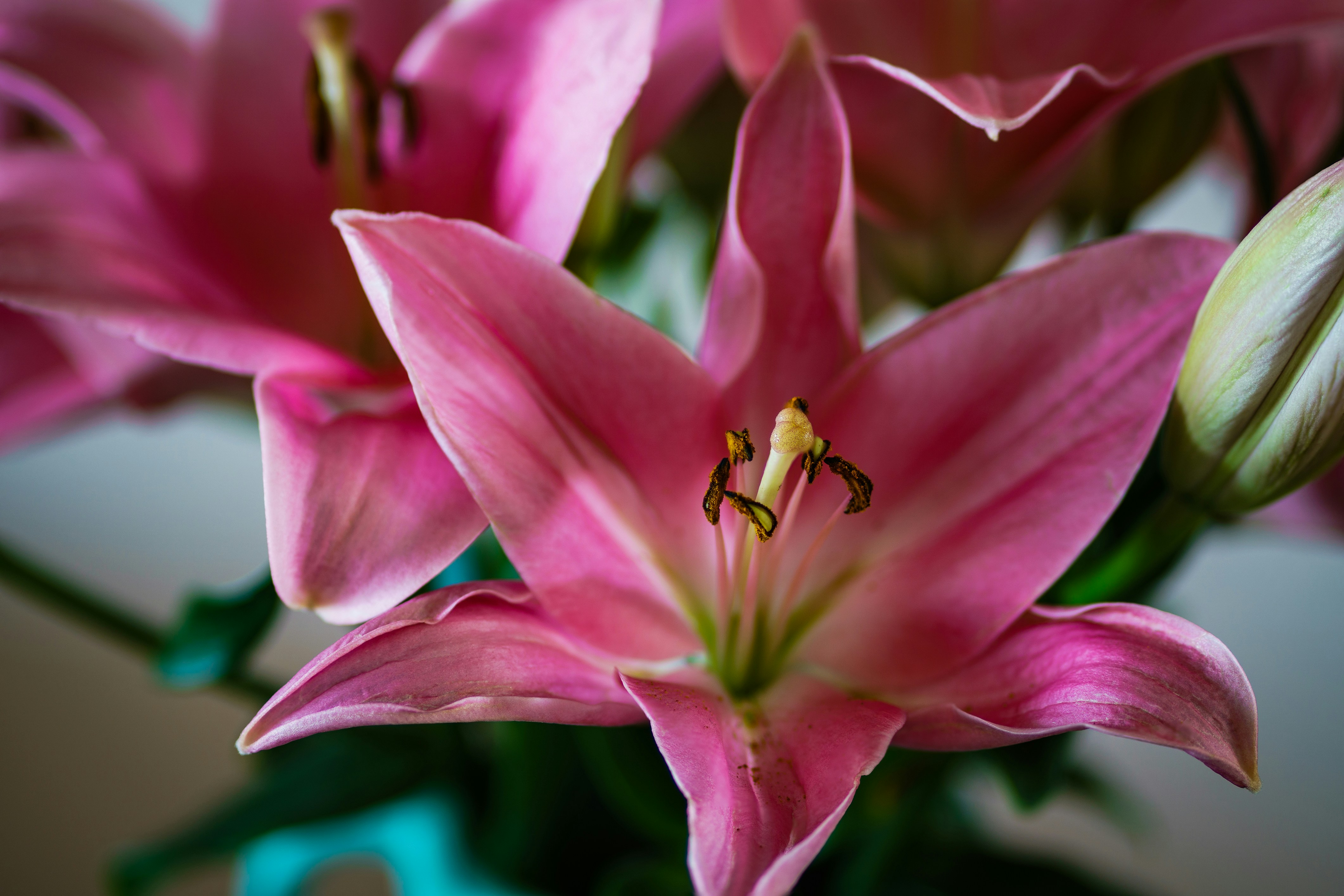 Photo by earl_plannerzone