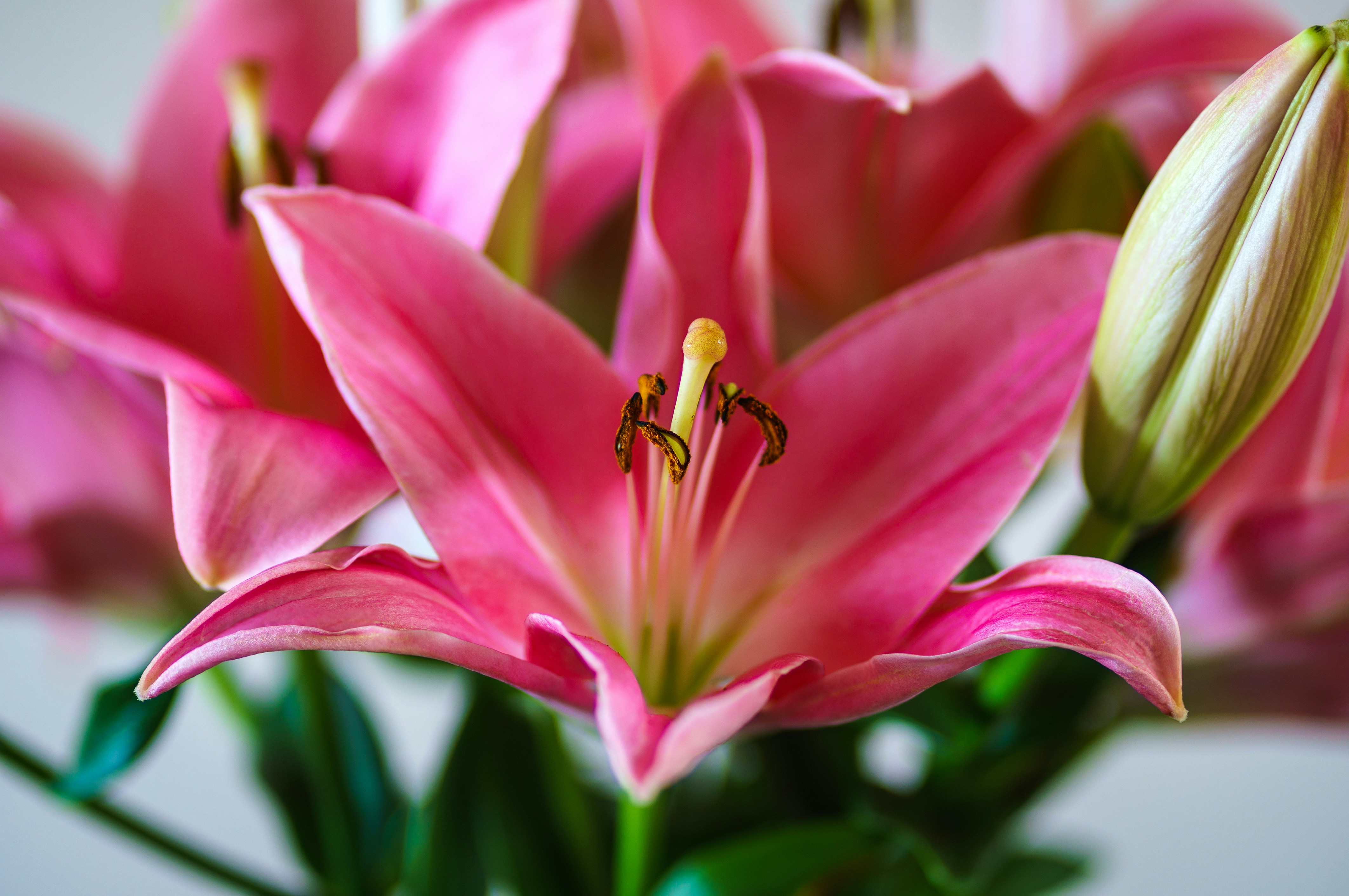 Photo by earl_plannerzone