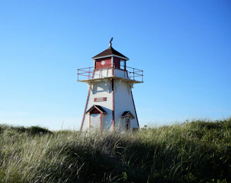 a lighthouse in a grassy area