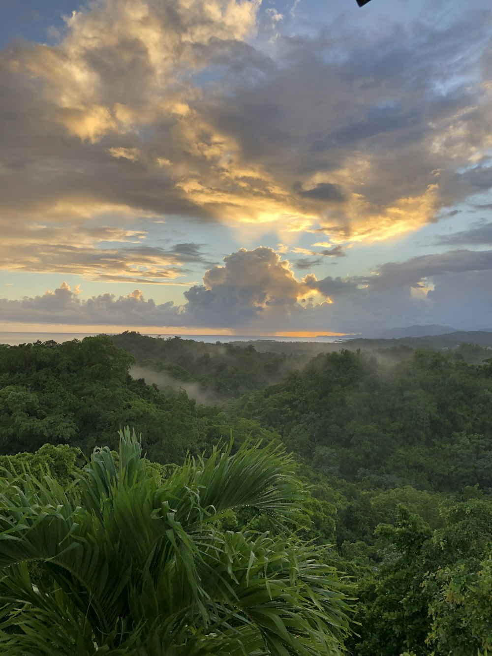 Un paisaje con árboles y nubes