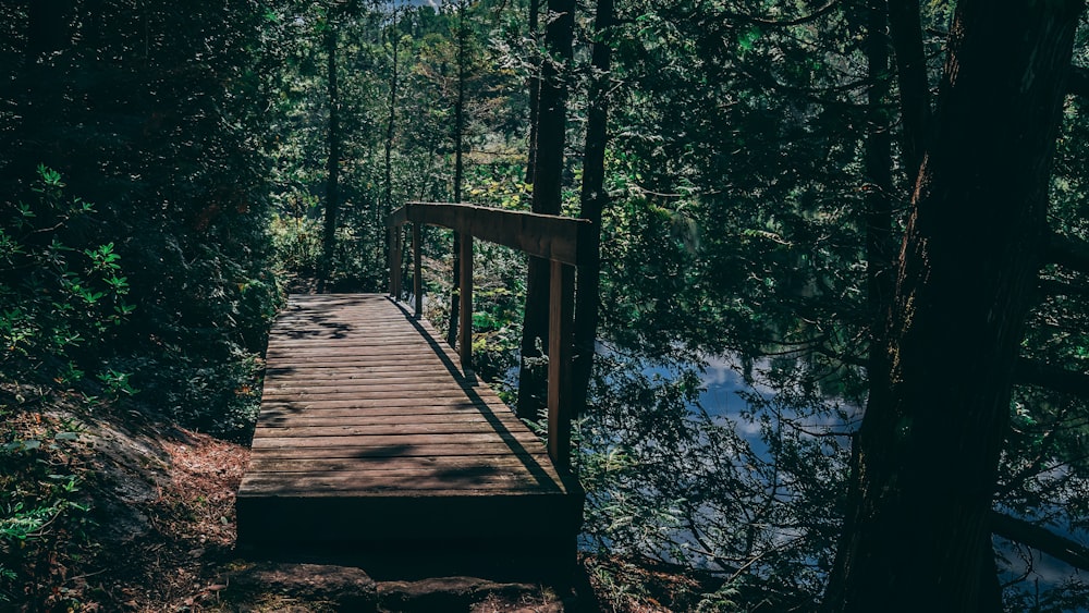 a wooden bridge over a stream in a forest