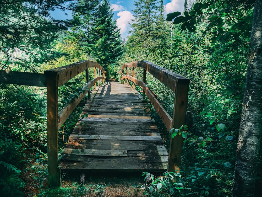 a wooden bridge in the woods