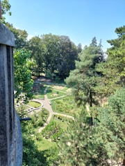 A panoramic view of a landscaped garden with diverse plants and pathways.