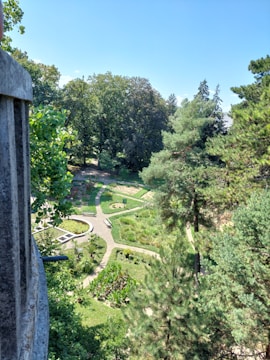 A panoramic view of a landscaped garden with diverse plants and pathways.