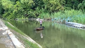 A person wearing a conical hat is standing on a small wooden boat, using a pole to navigate through a narrow, calm river with lush green vegetation on either side. Ducks are walking along a concrete path adjacent to the water.